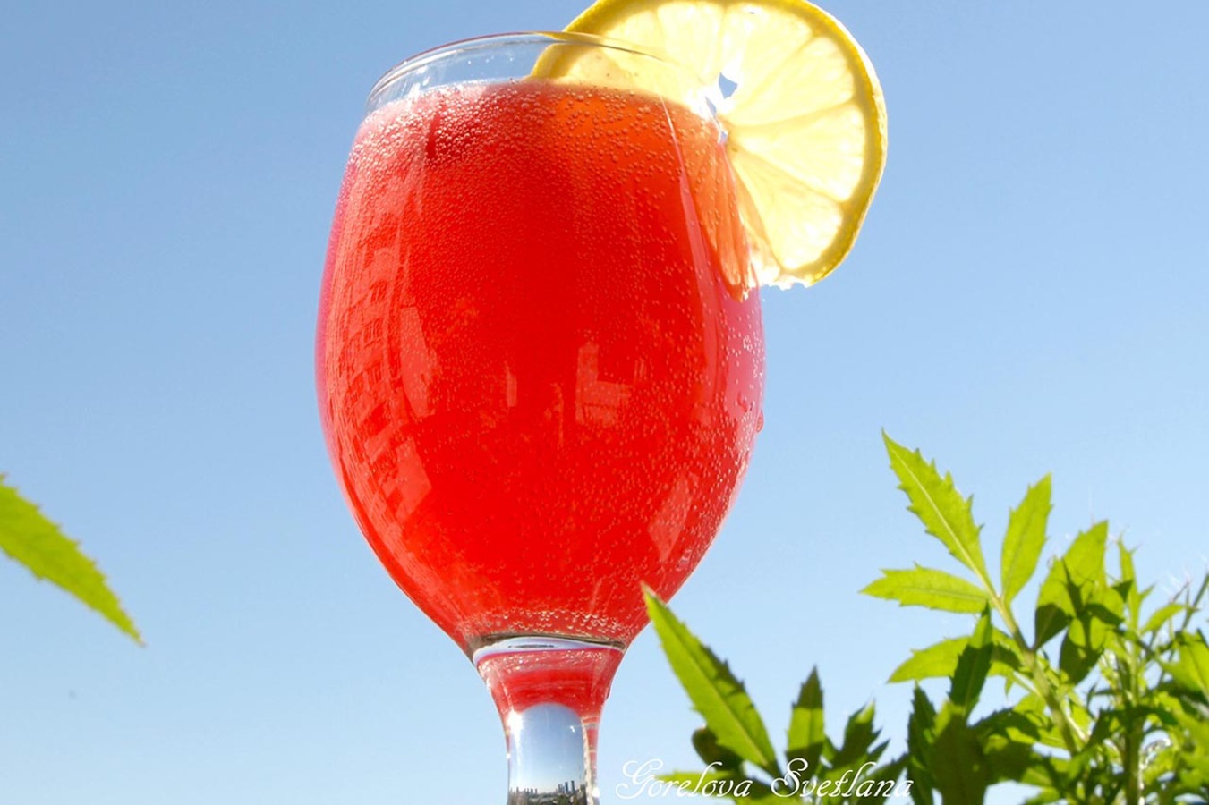 Фото из статьи