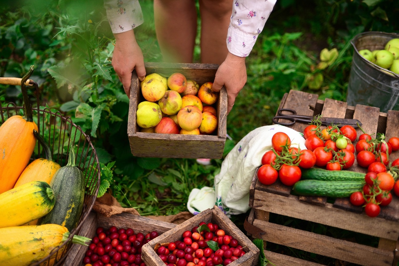 Фото из статьи