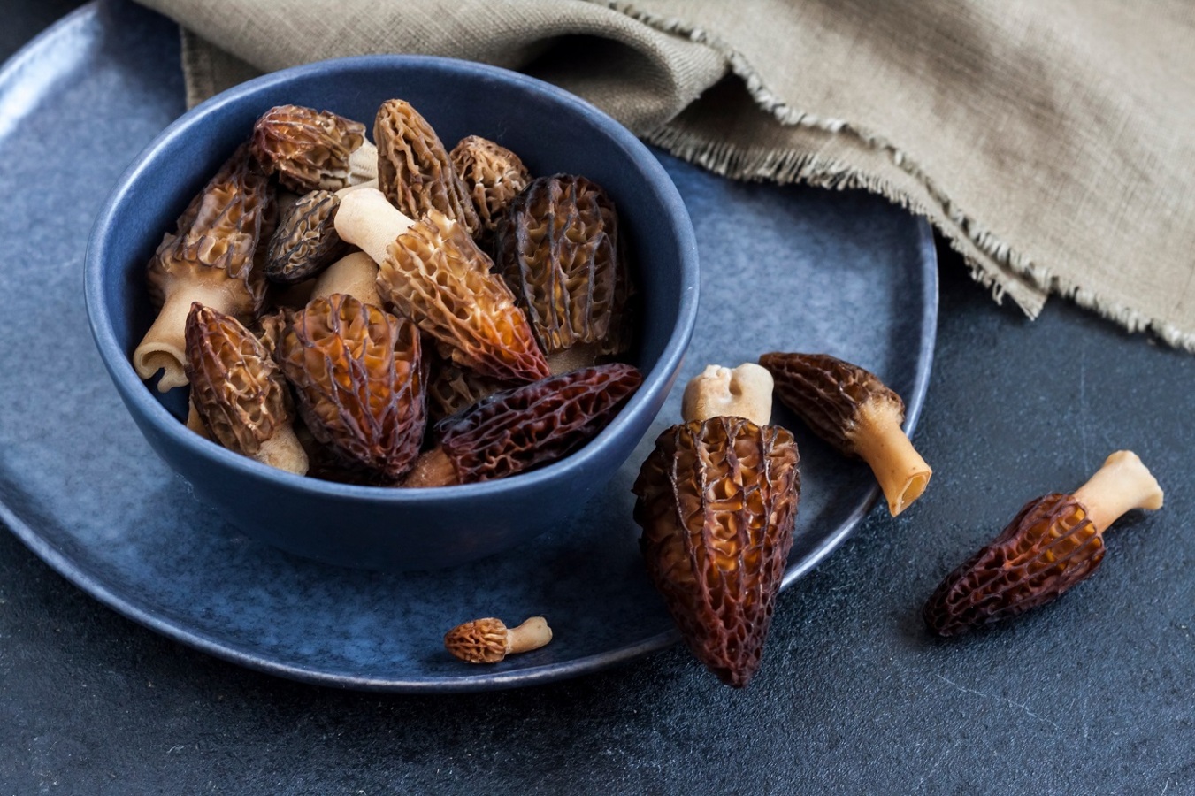 Фото из статьи