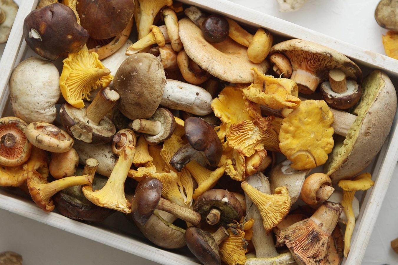 Фото из статьи