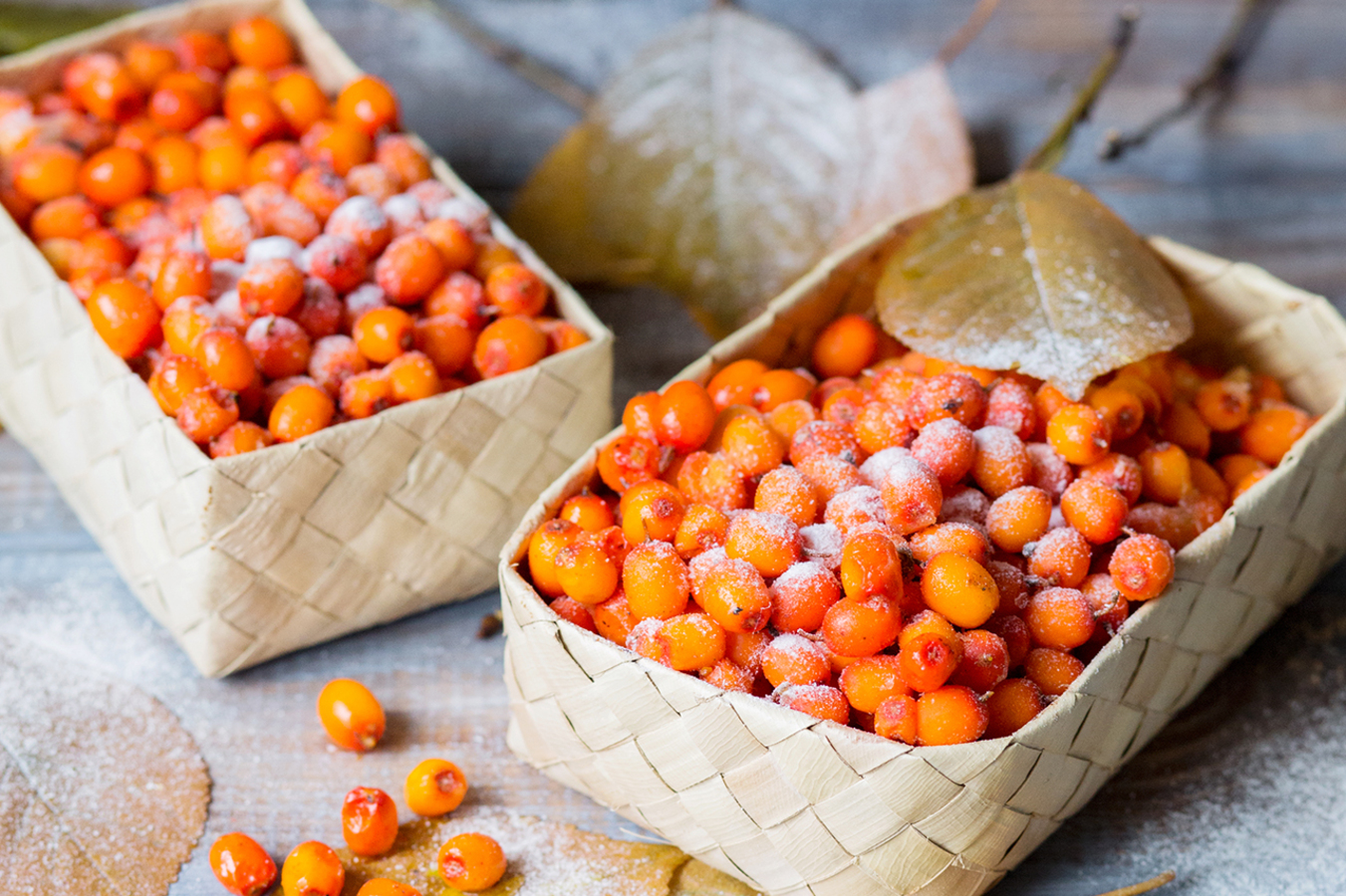 Фото из статьи