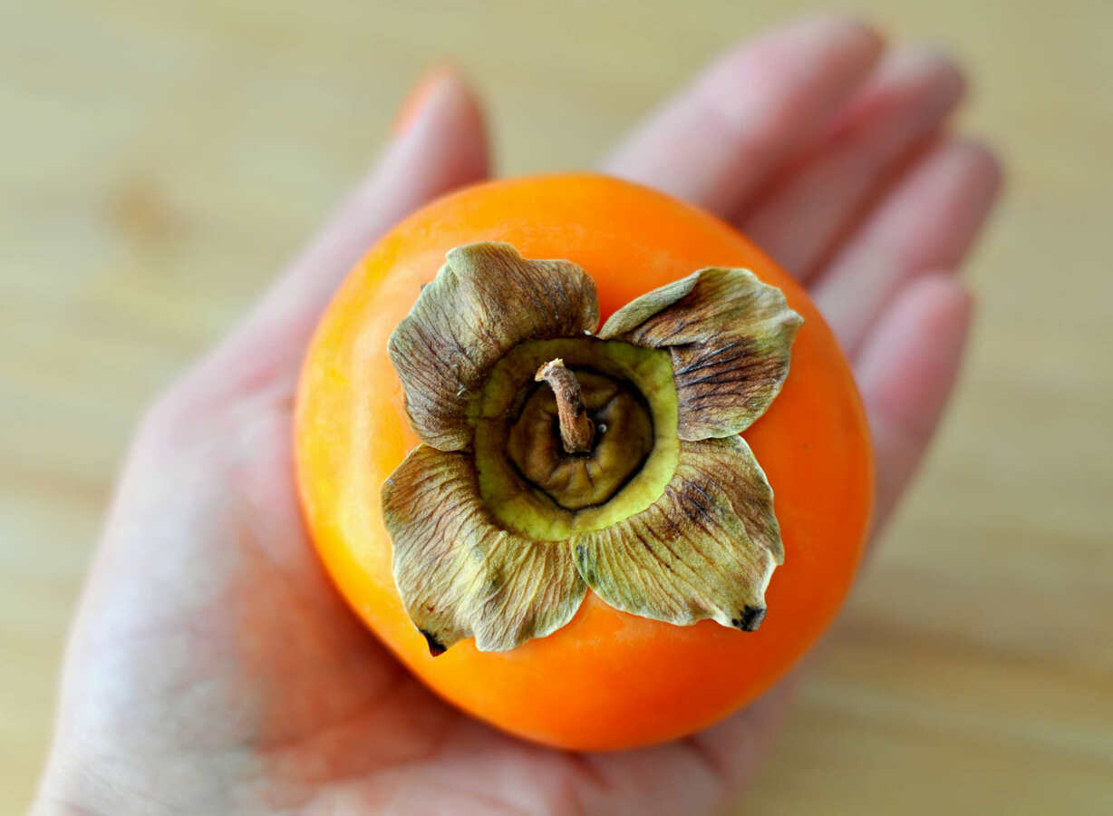 Фото из статьи