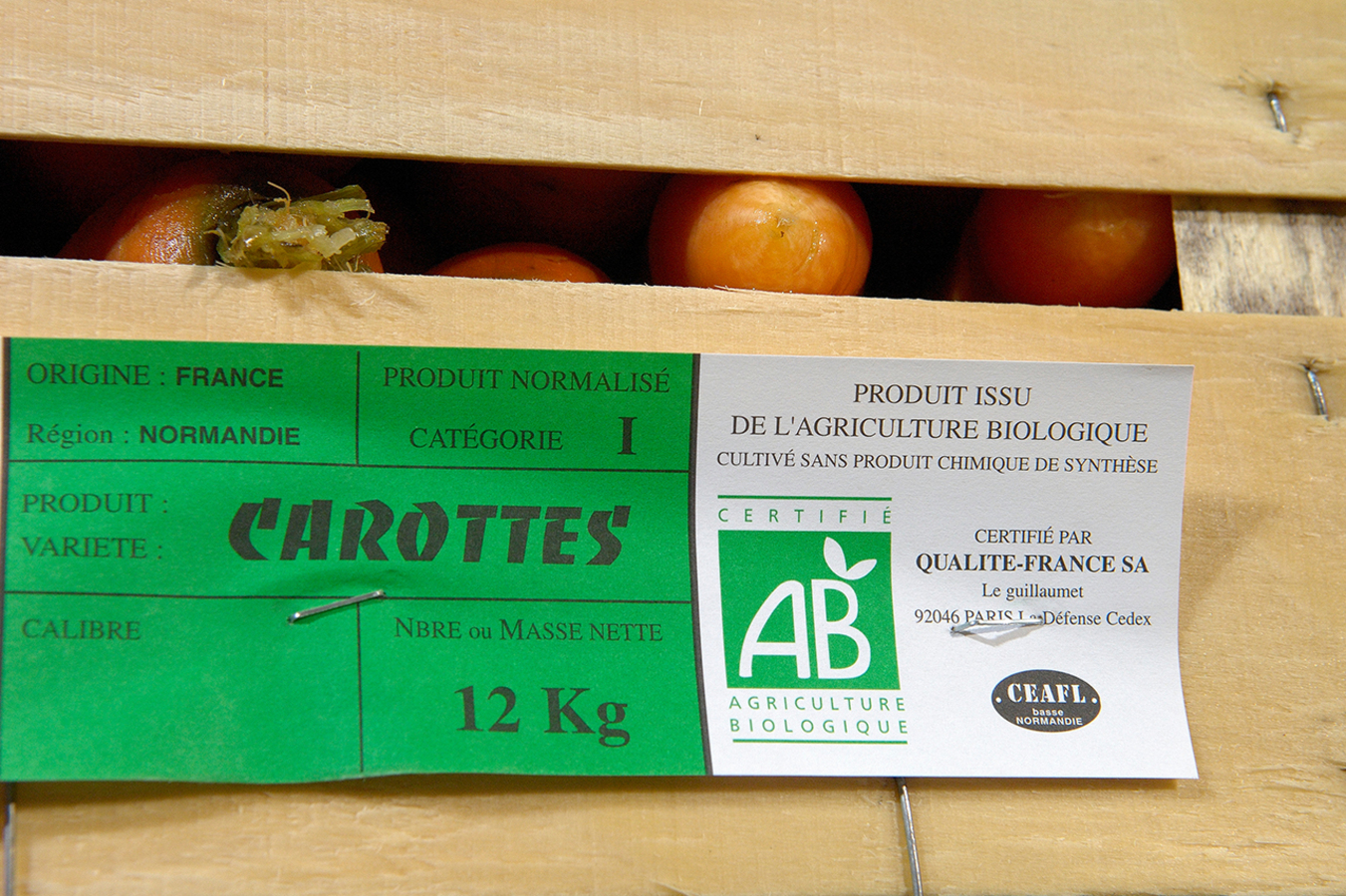 Фото из статьи