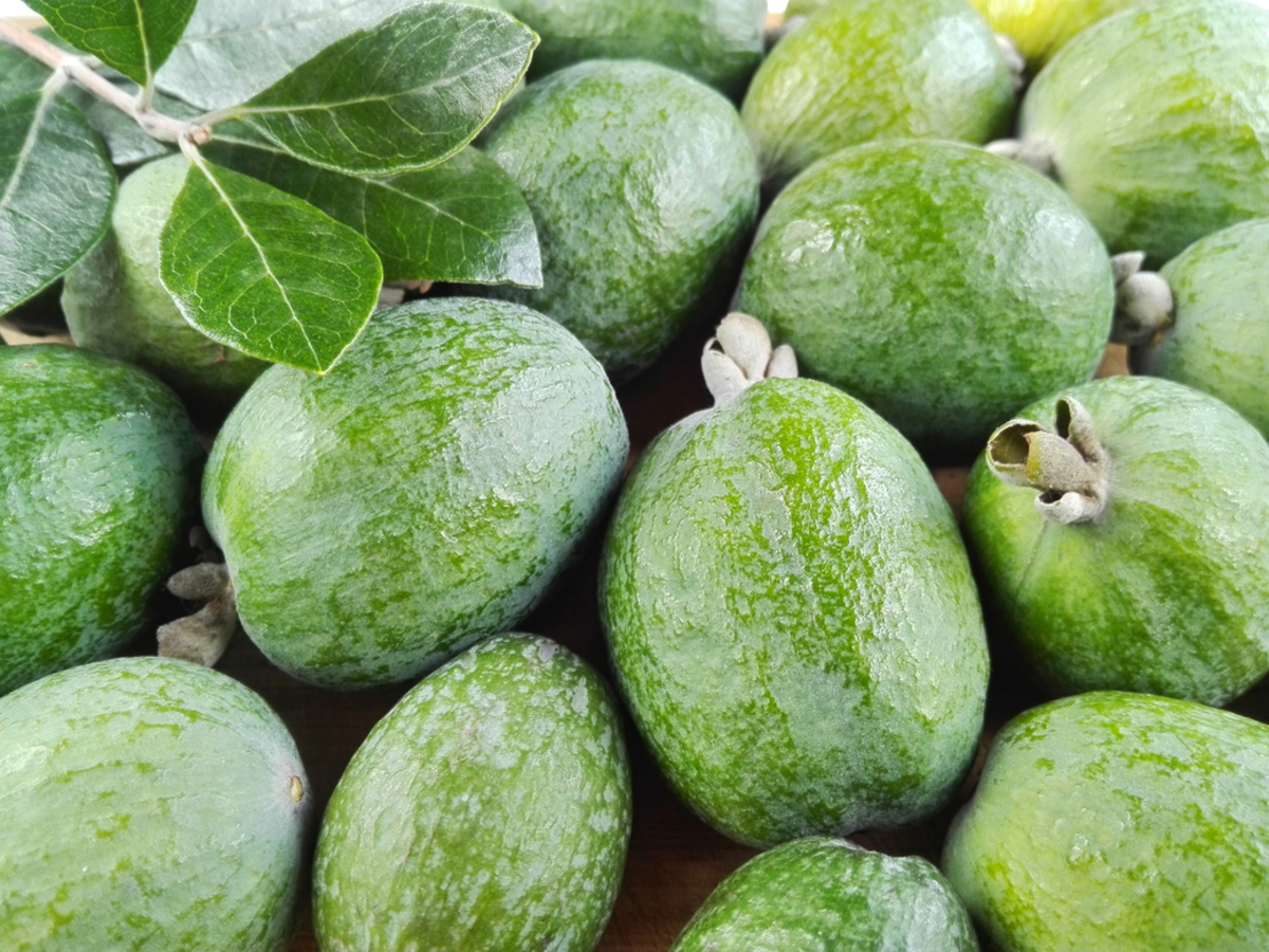 Фото из статьи