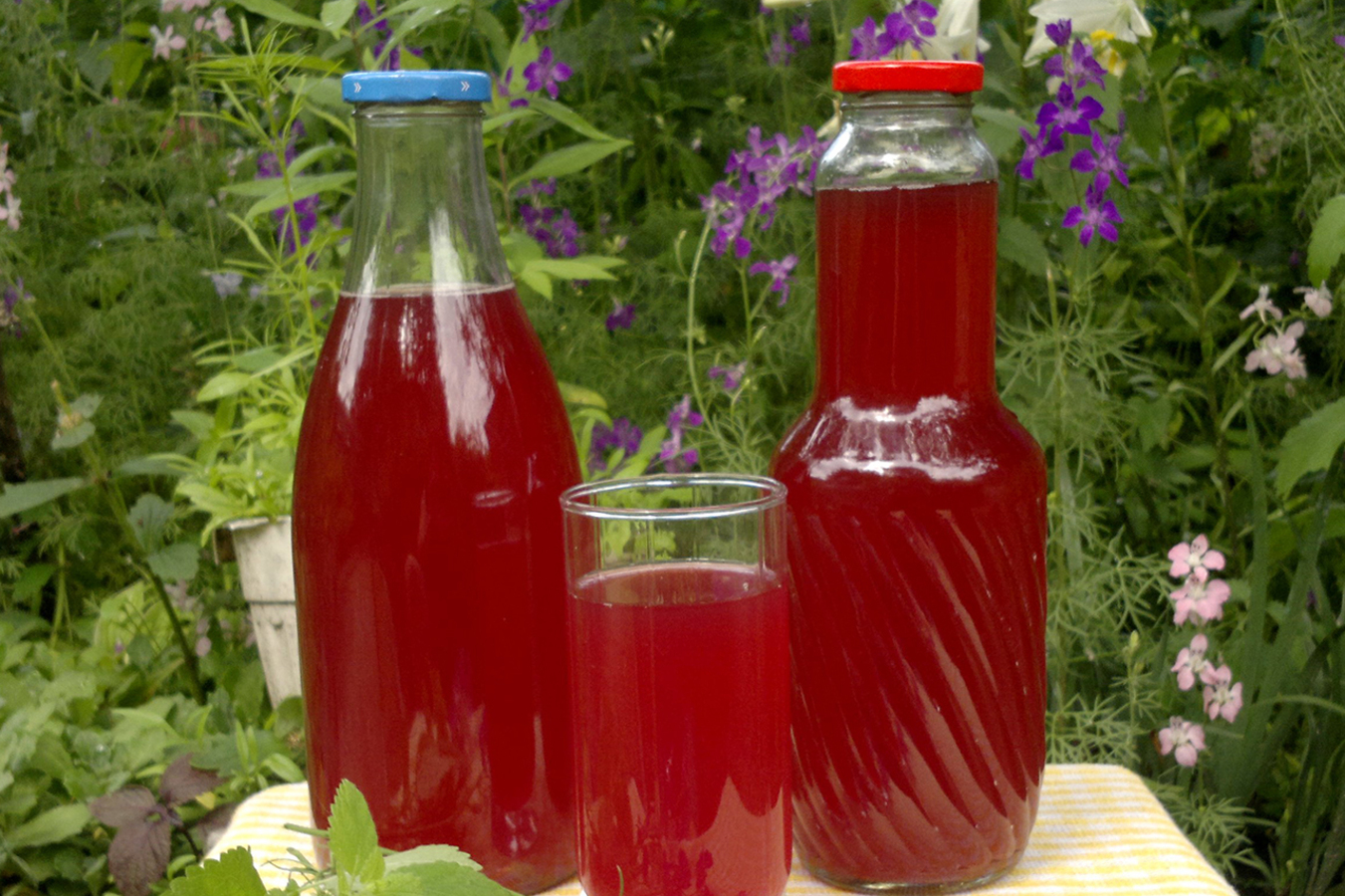 Фото из статьи