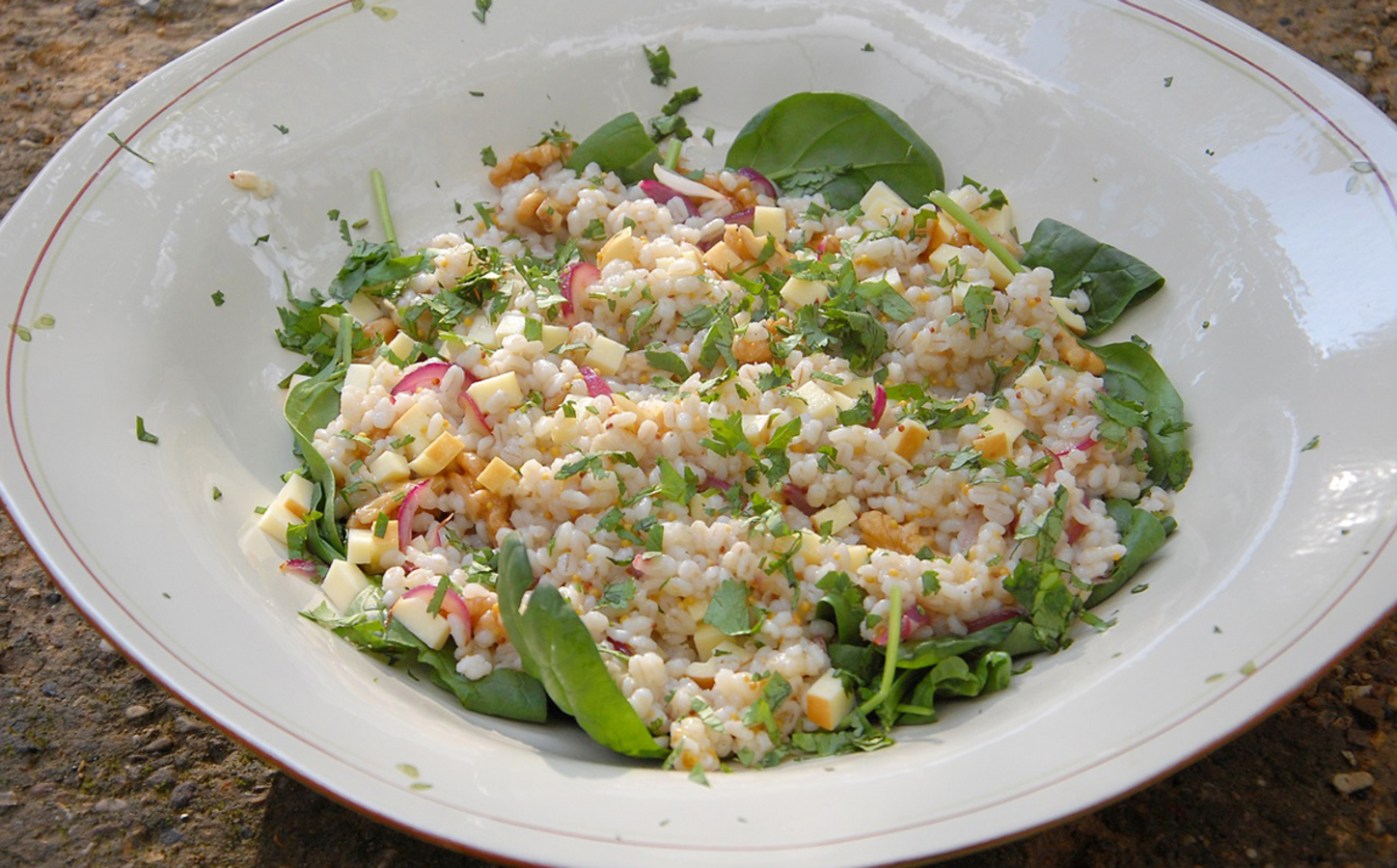 Фото из статьи