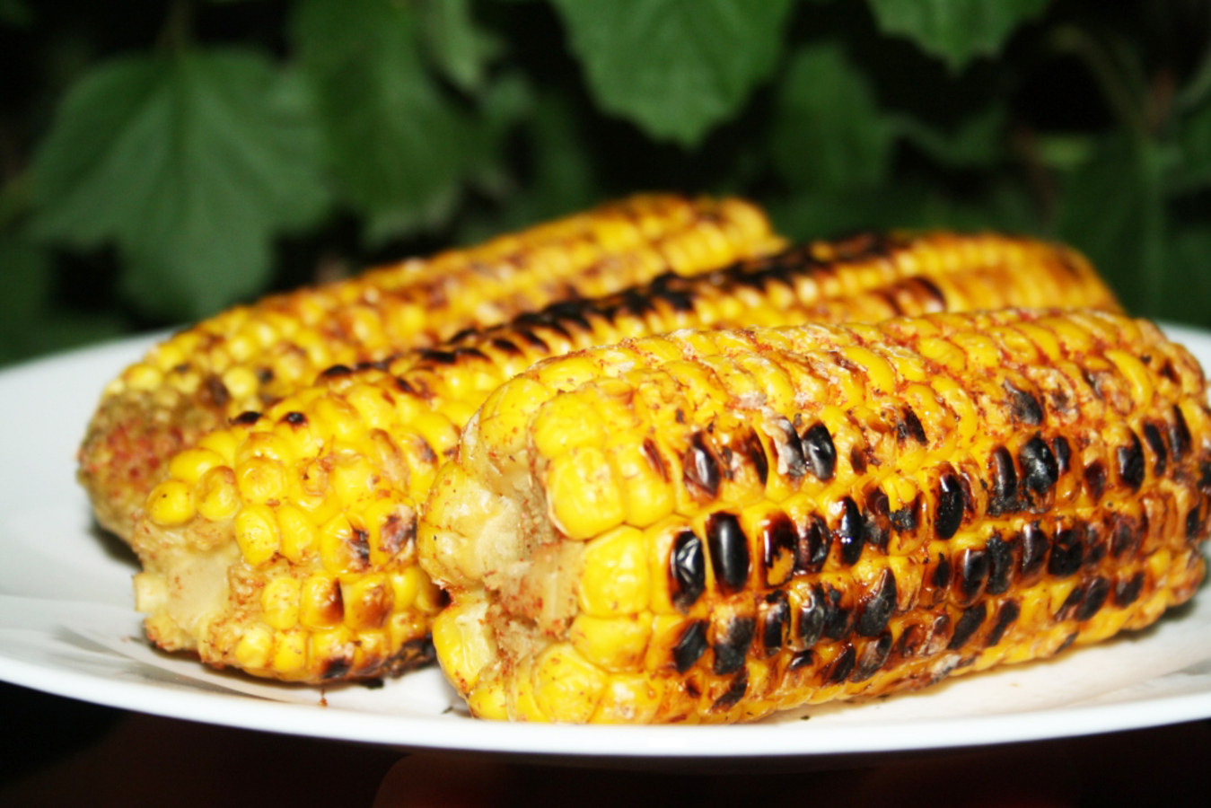 Фото из статьи