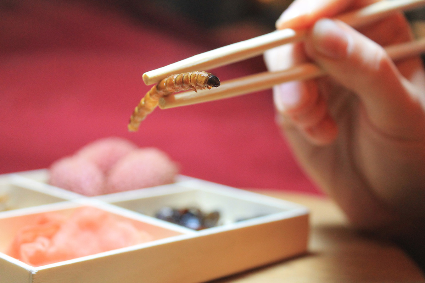 Фото из статьи