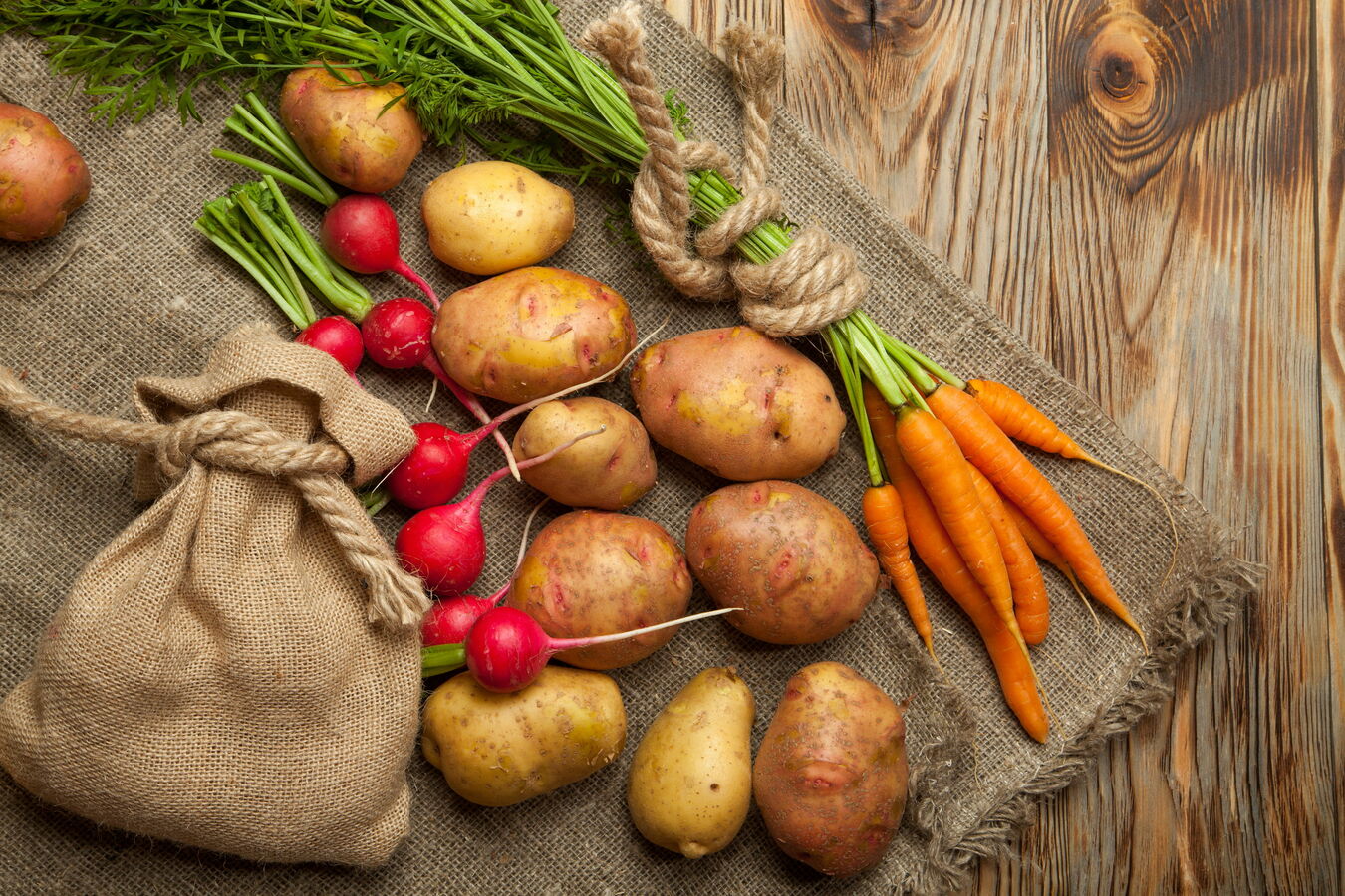 Фото из статьи