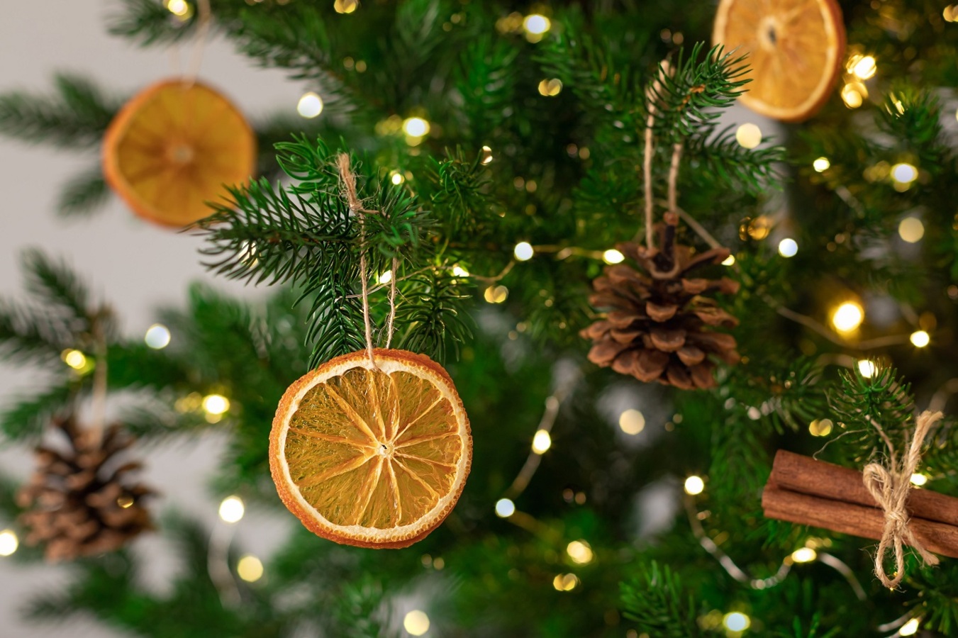 Фото из статьи