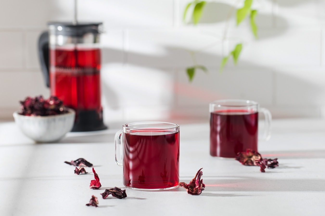 Фото из статьи