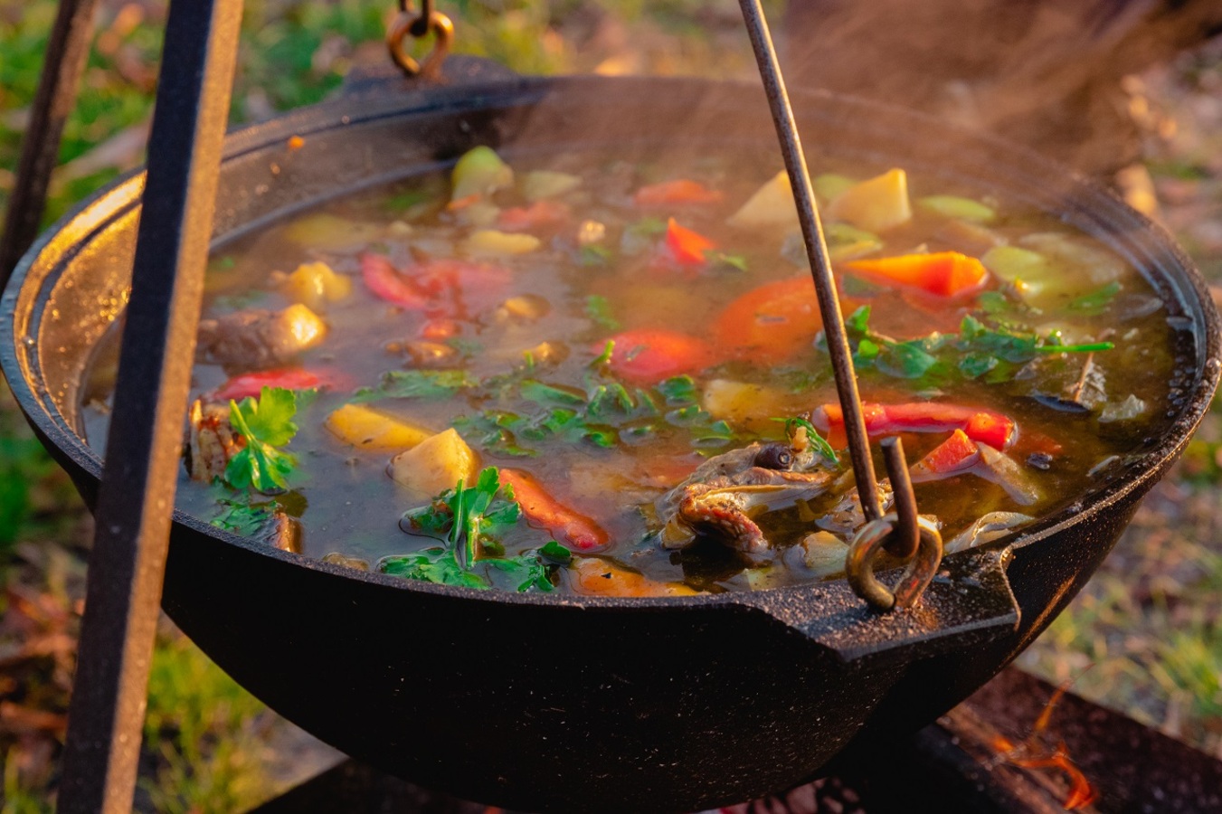 Фото из статьи