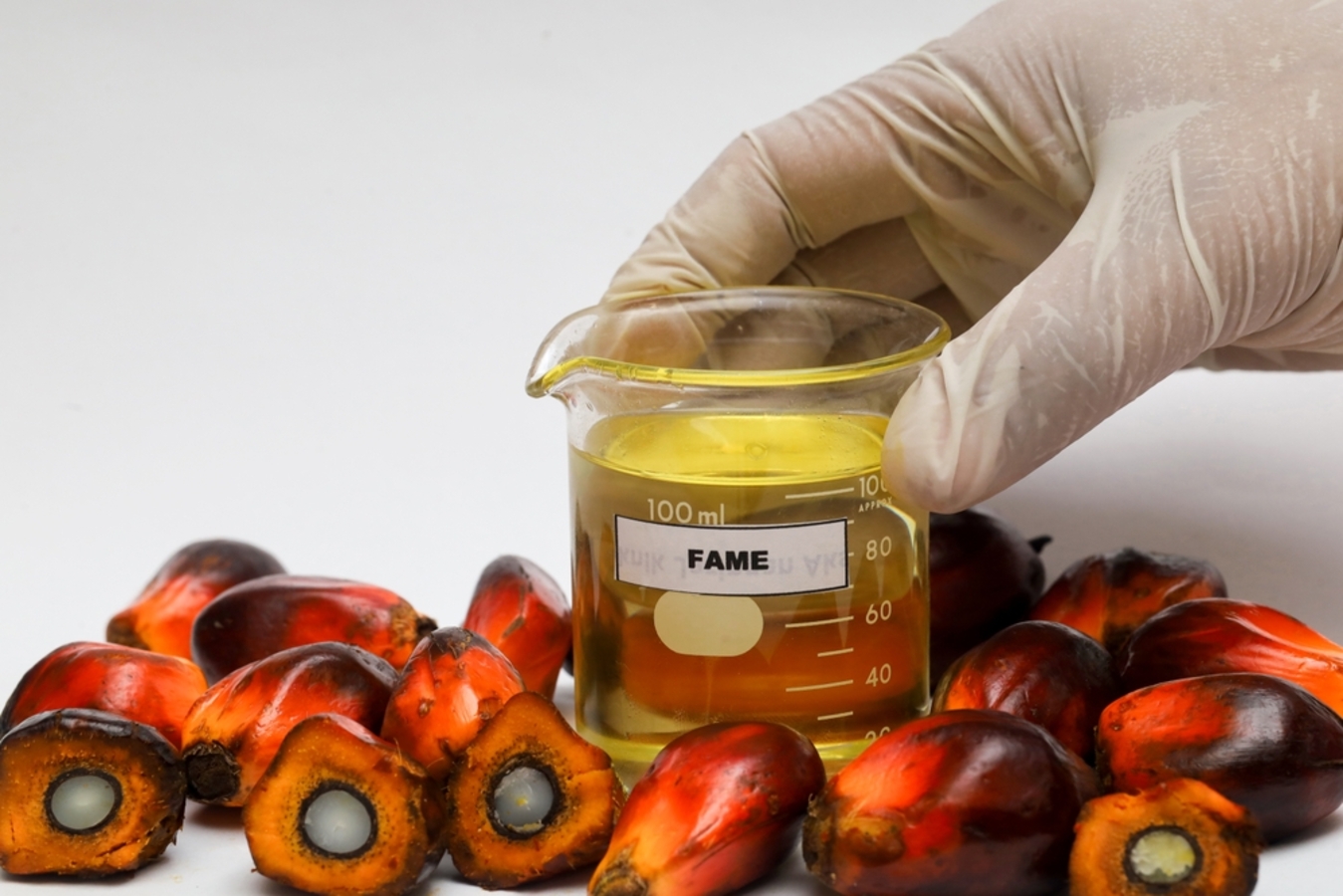 Фото из статьи