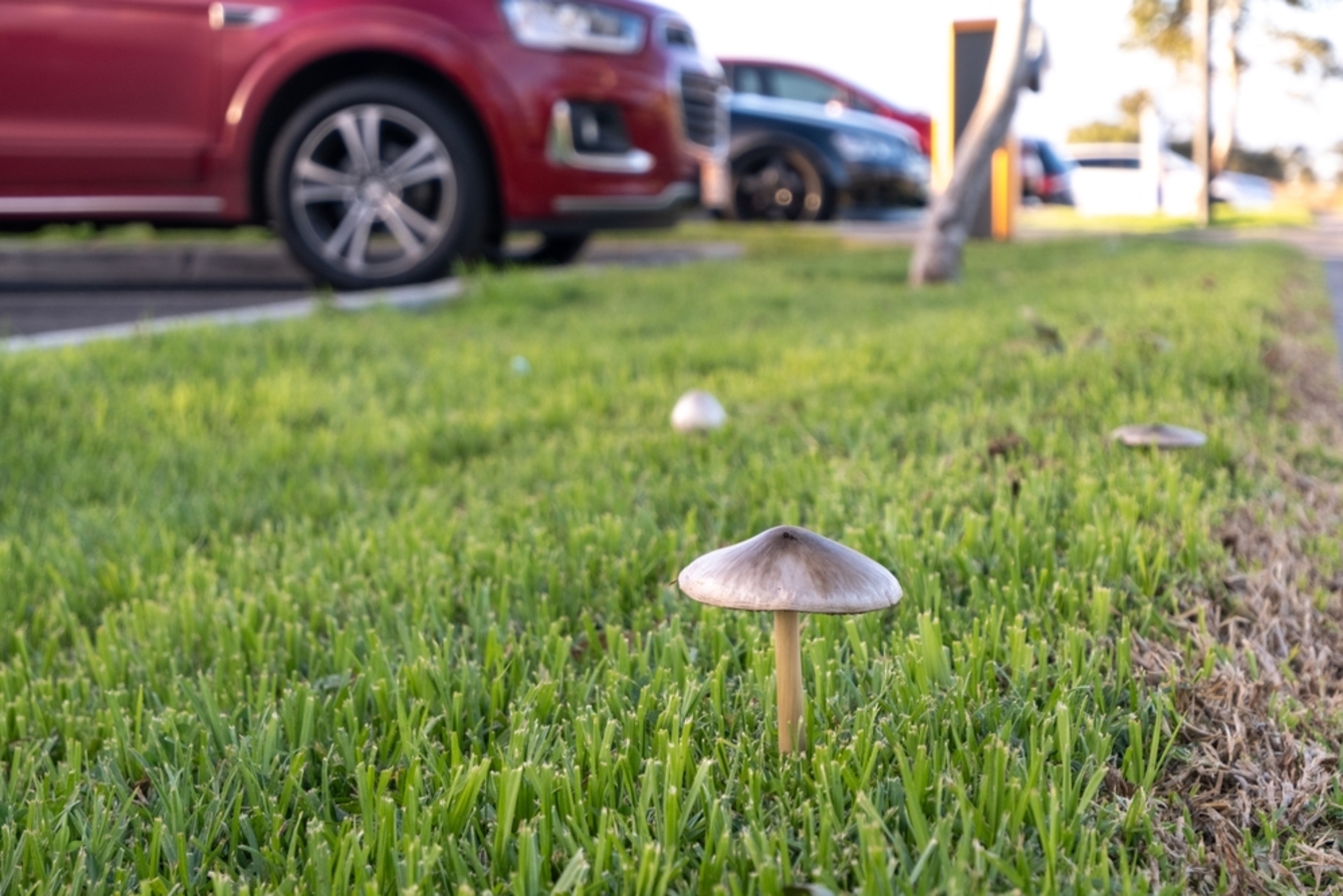 Фото из статьи