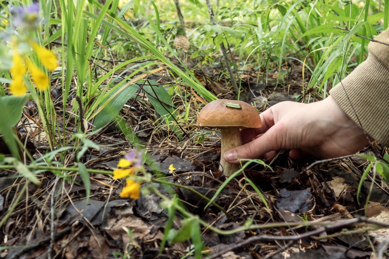 Фото из статьи