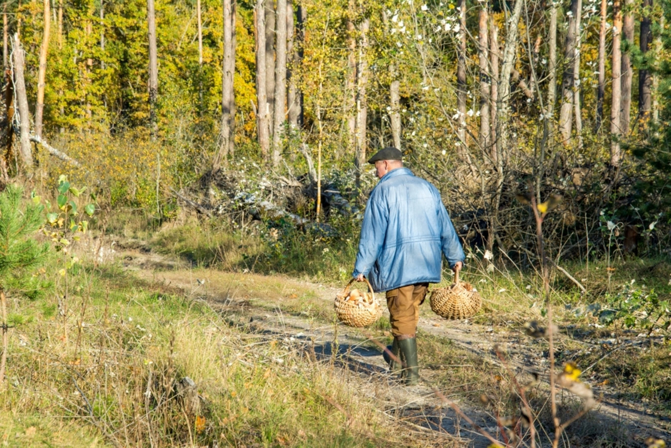 Фото из статьи