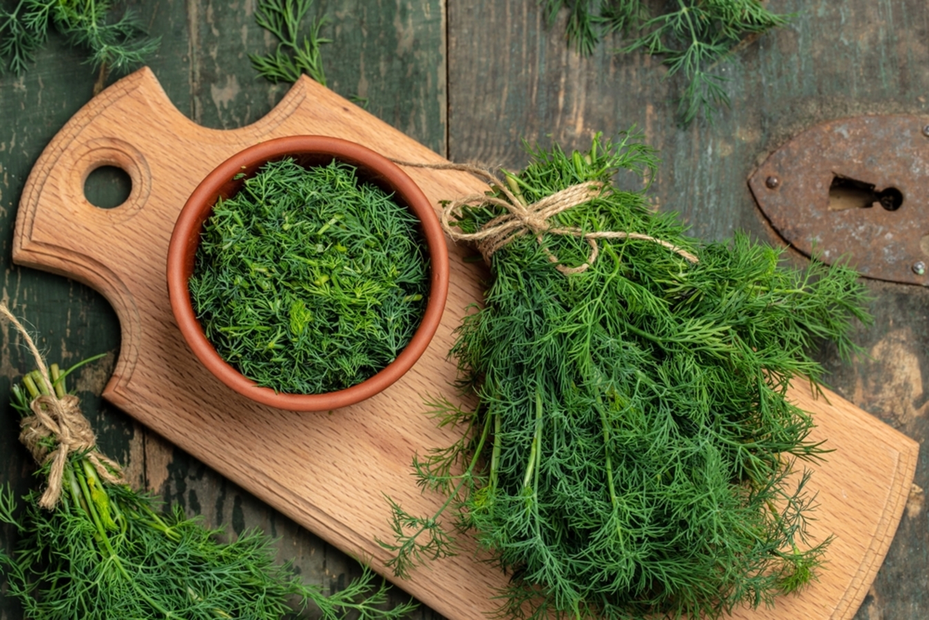 Фото из статьи