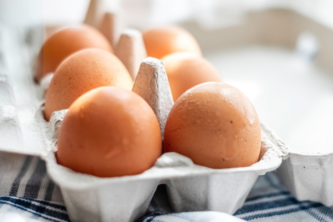 Фото из статьи