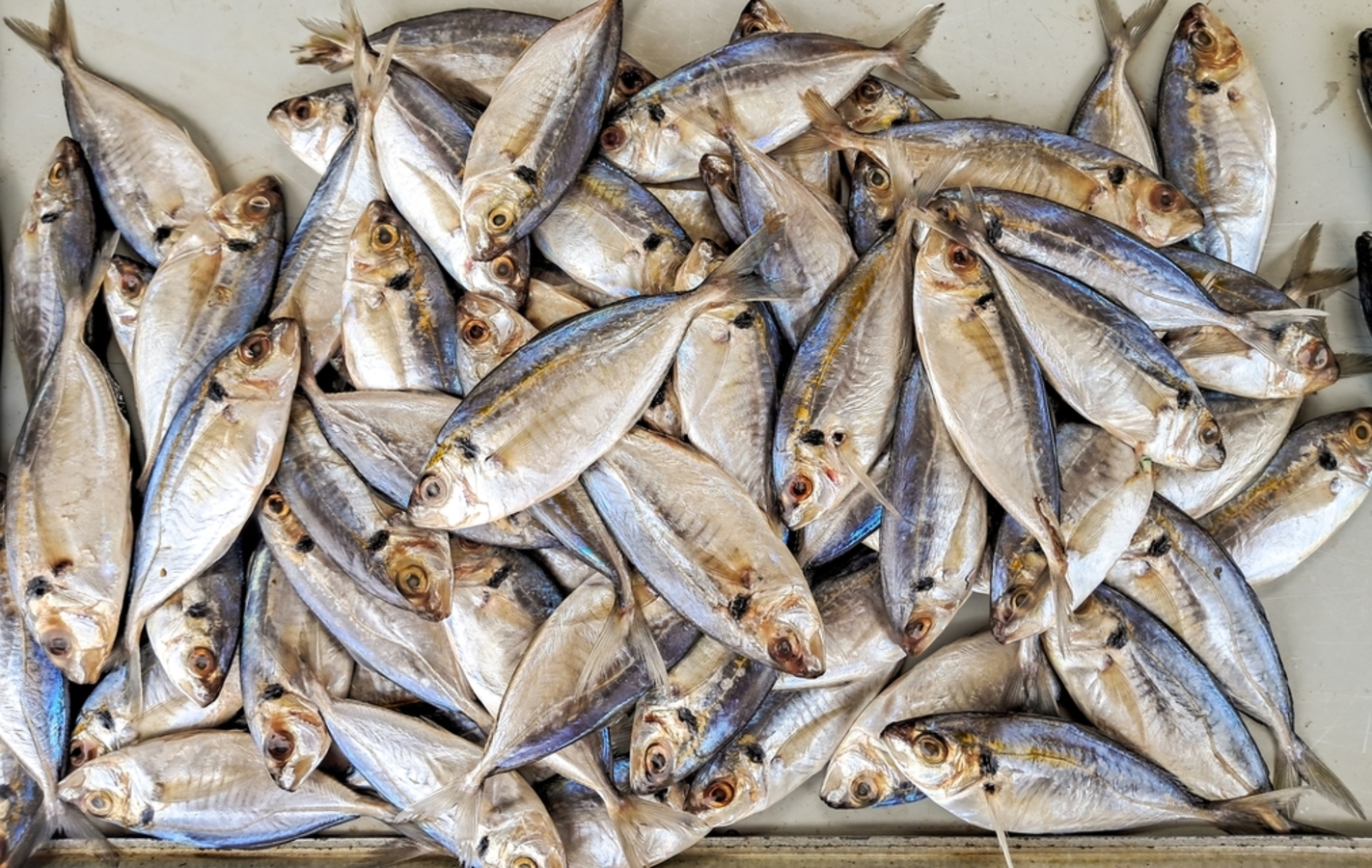 Фото из статьи