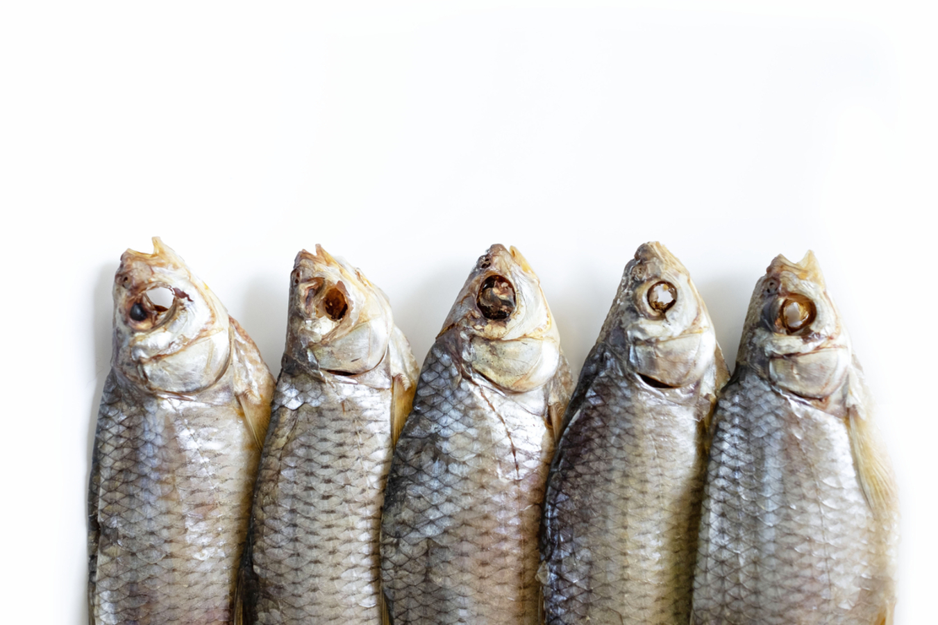 Фото из статьи