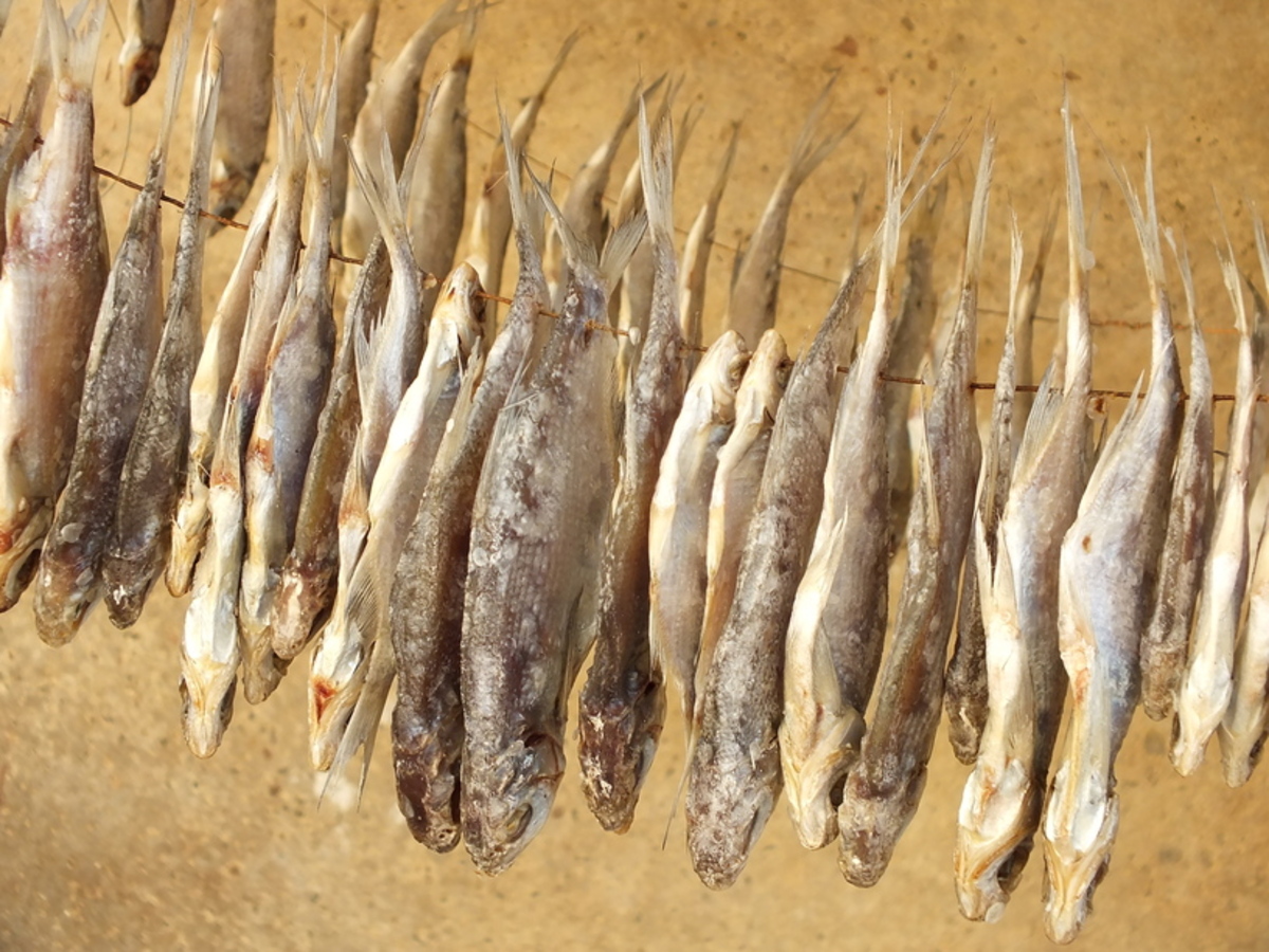 Фото из статьи