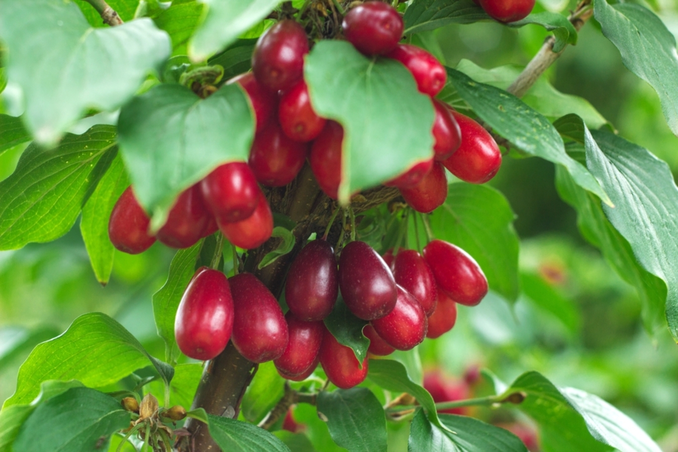 Фото из статьи