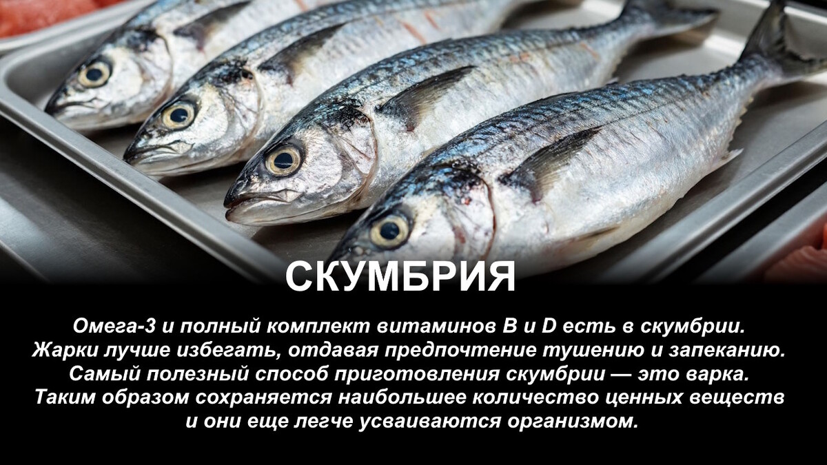 Как и лосось: назвали 3 вида рыб, которые закрывают норму по белку и витаминам
