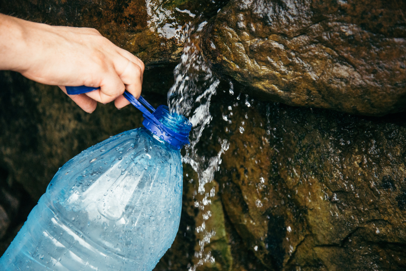 Фото из статьи