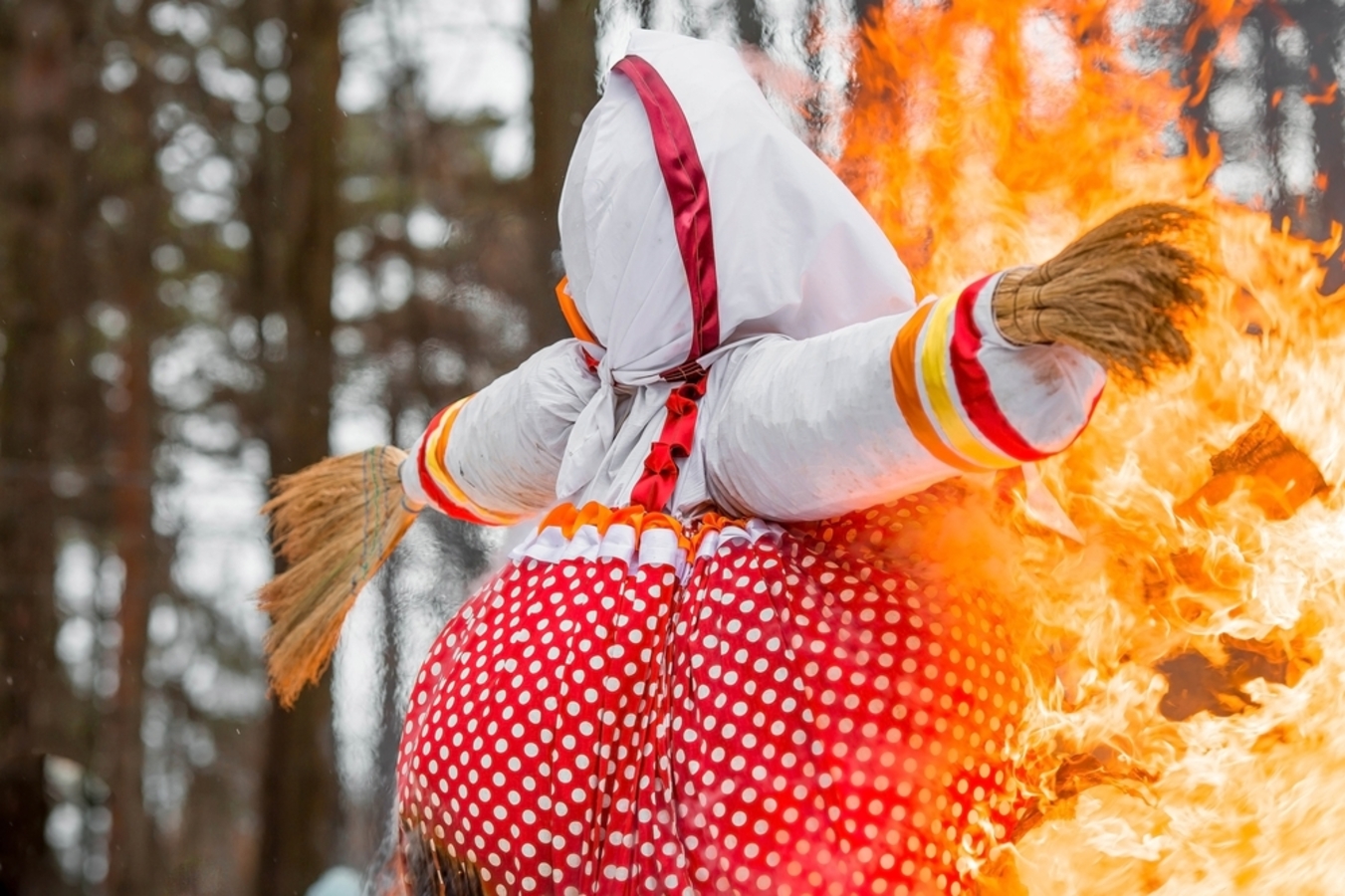 Фото из статьи