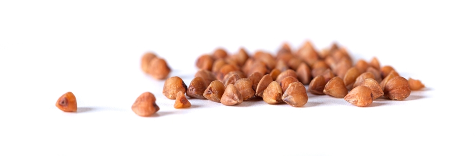 Фото из статьи