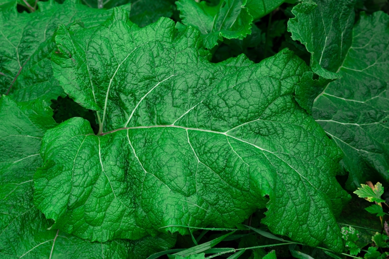 Фото из статьи