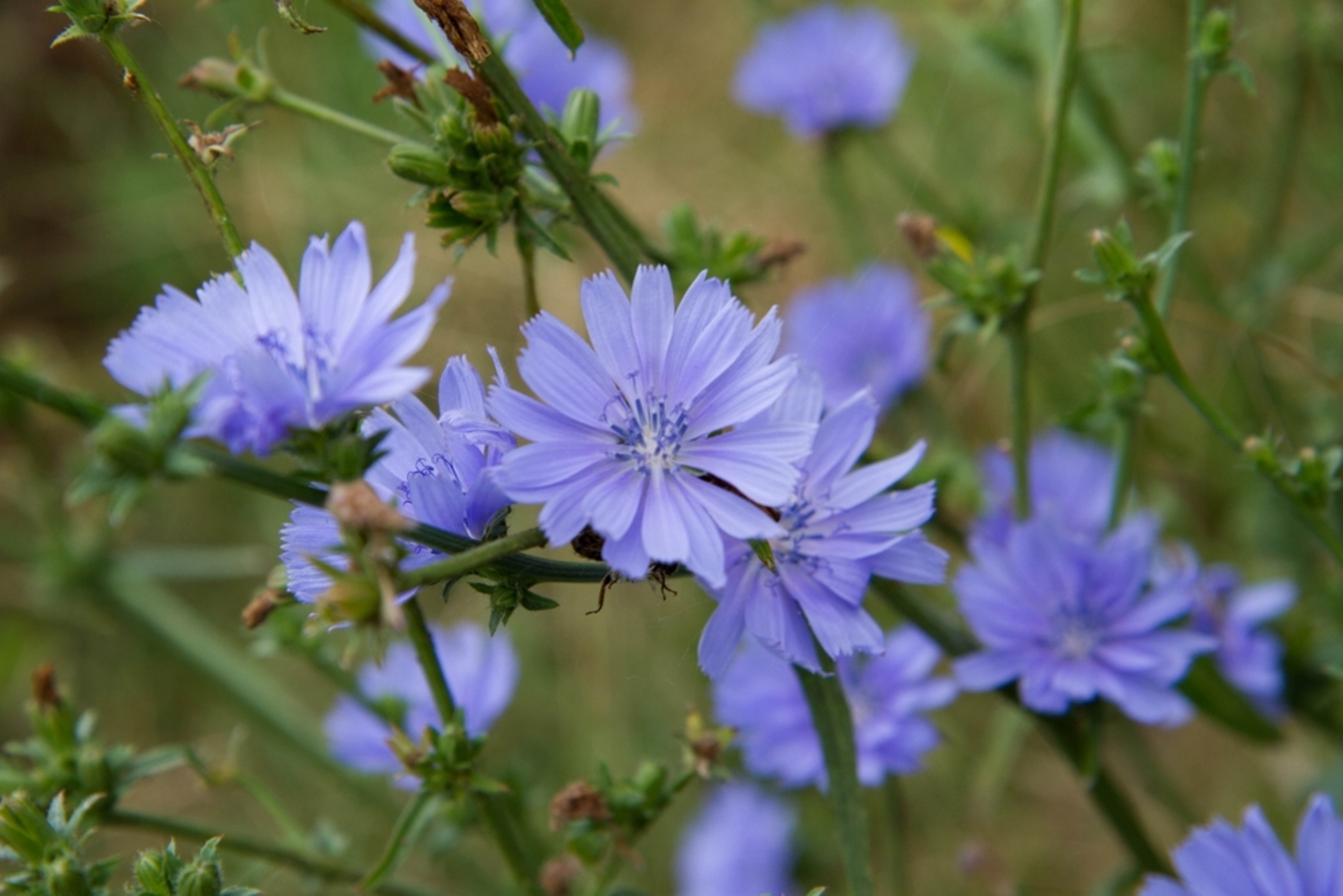 Фото из статьи