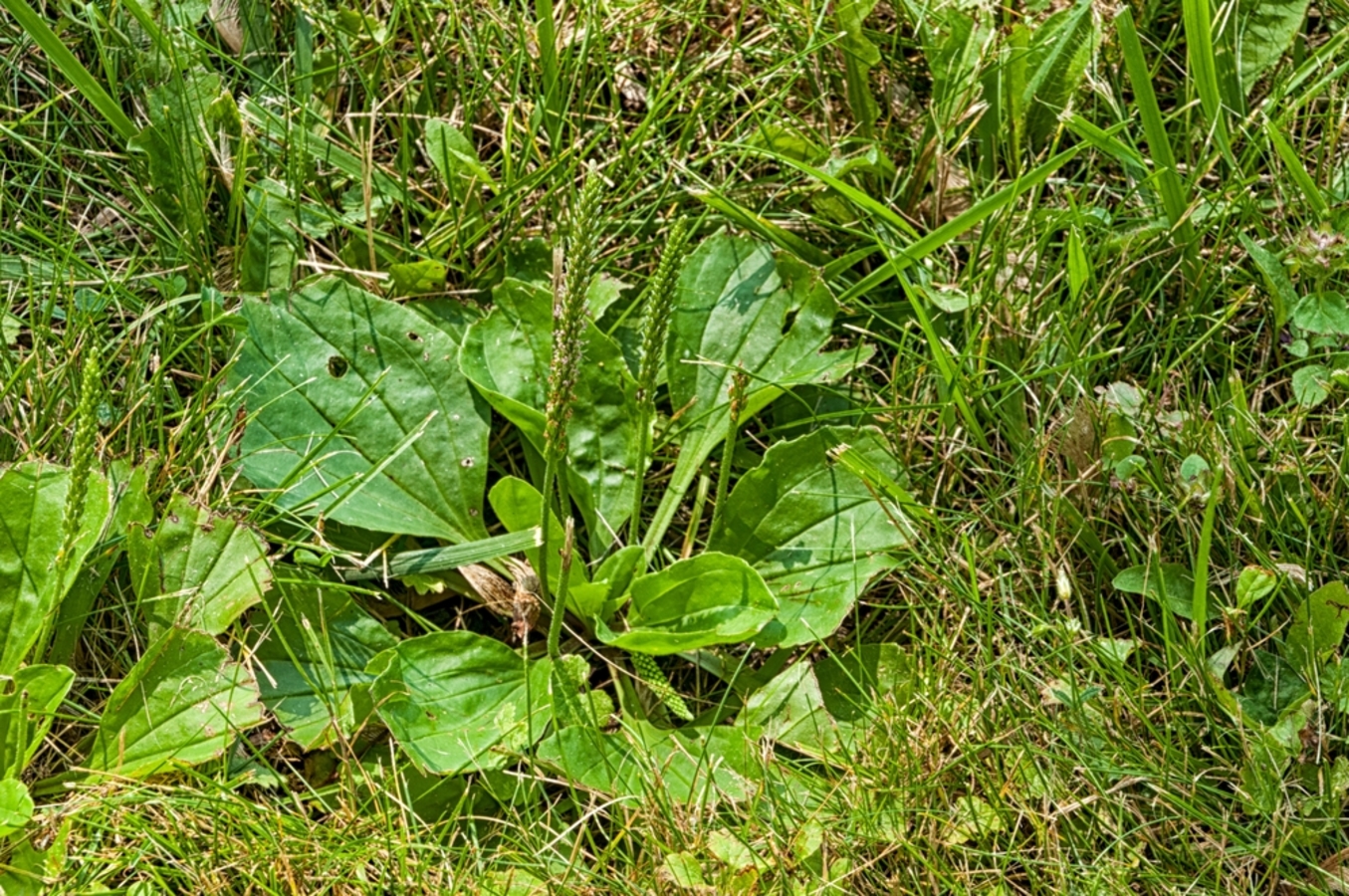 Фото из статьи