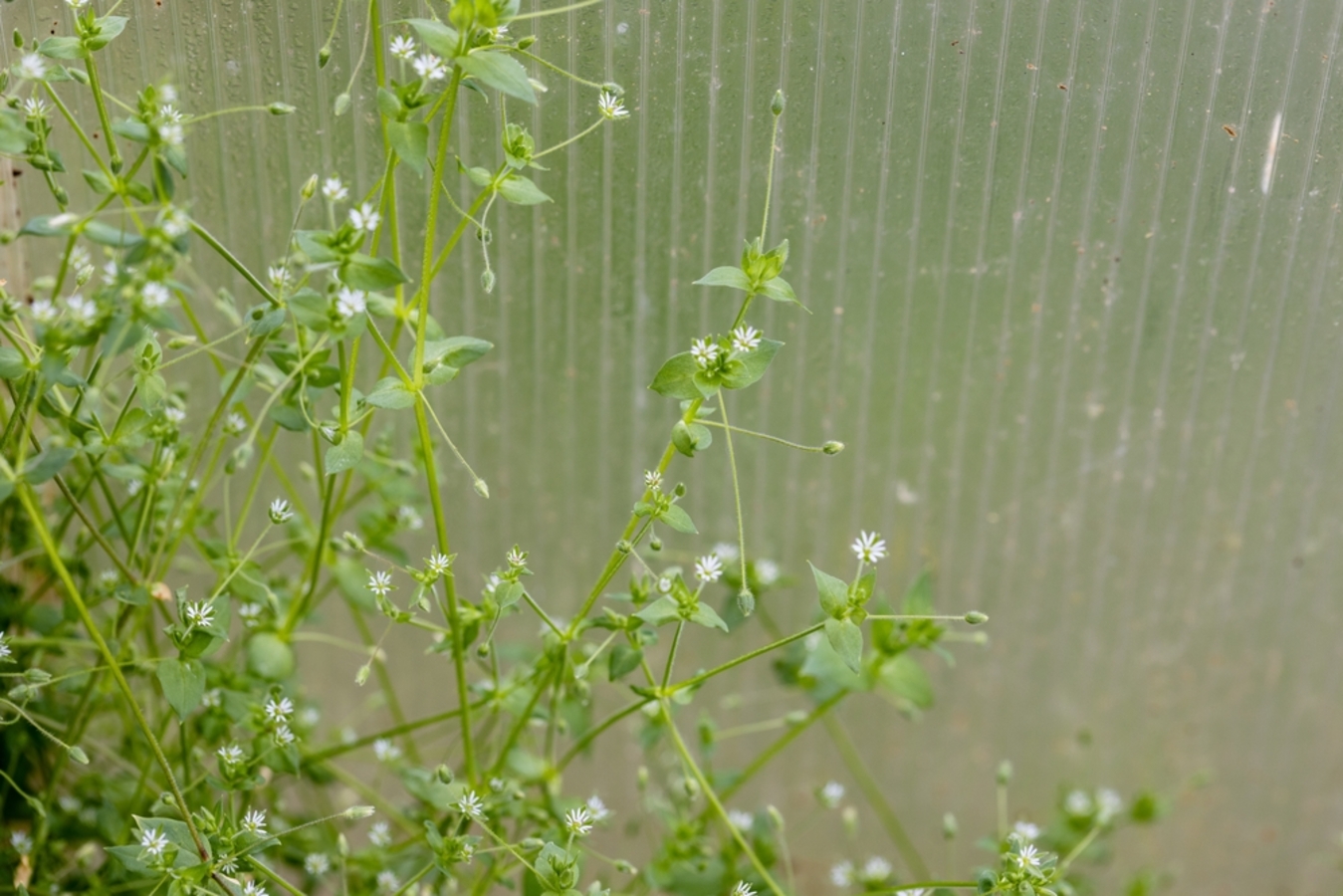 Фото из статьи