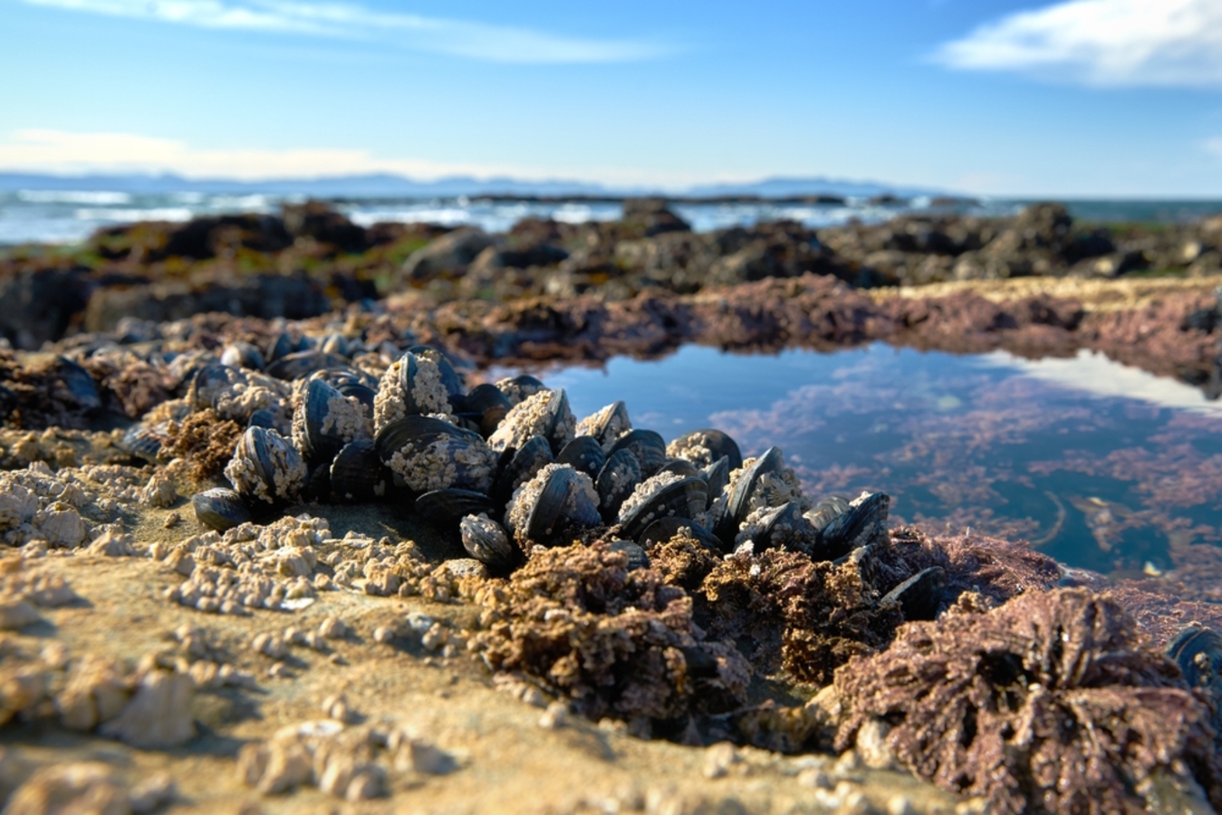 Фото из статьи