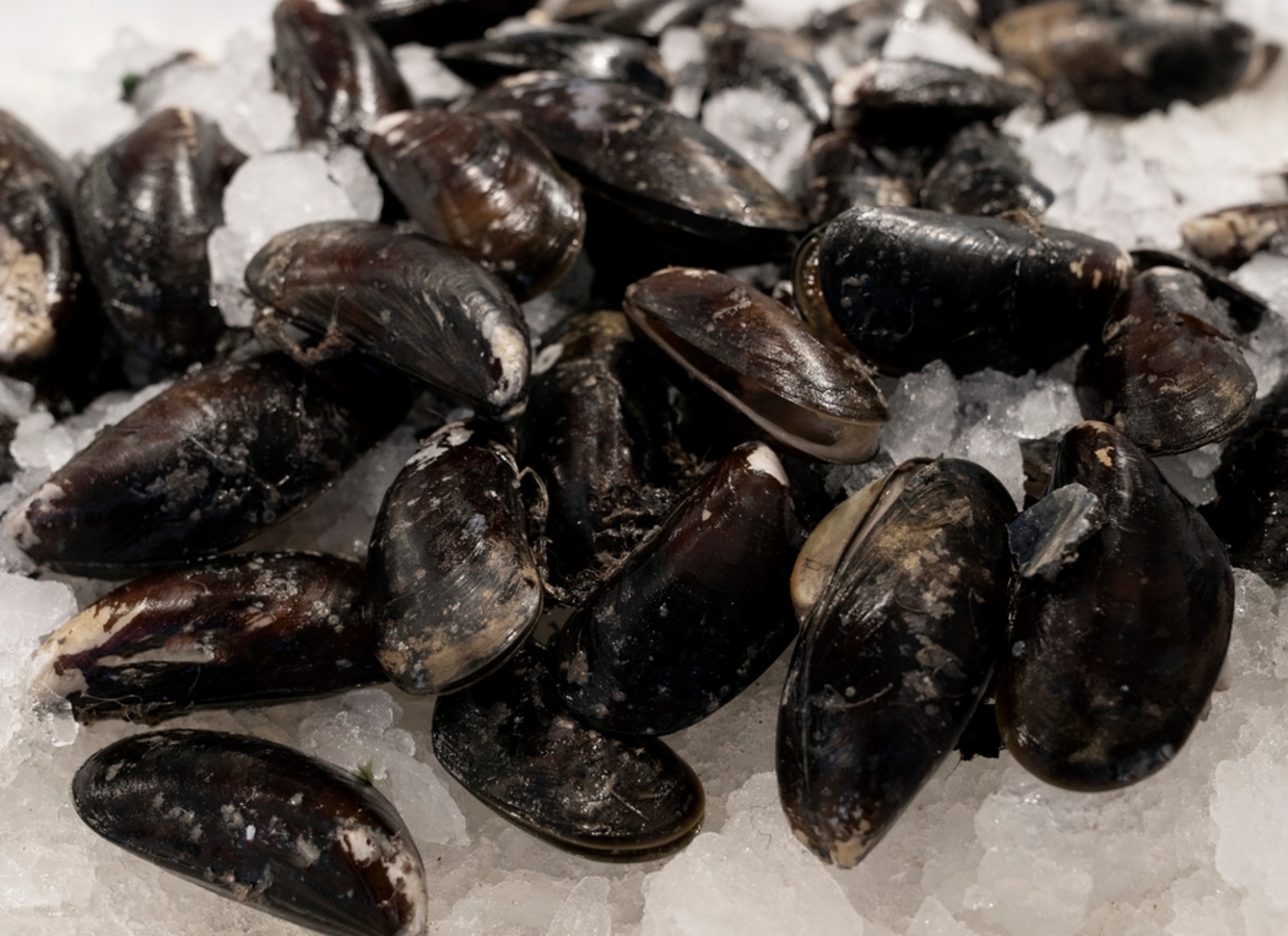 Фото из статьи