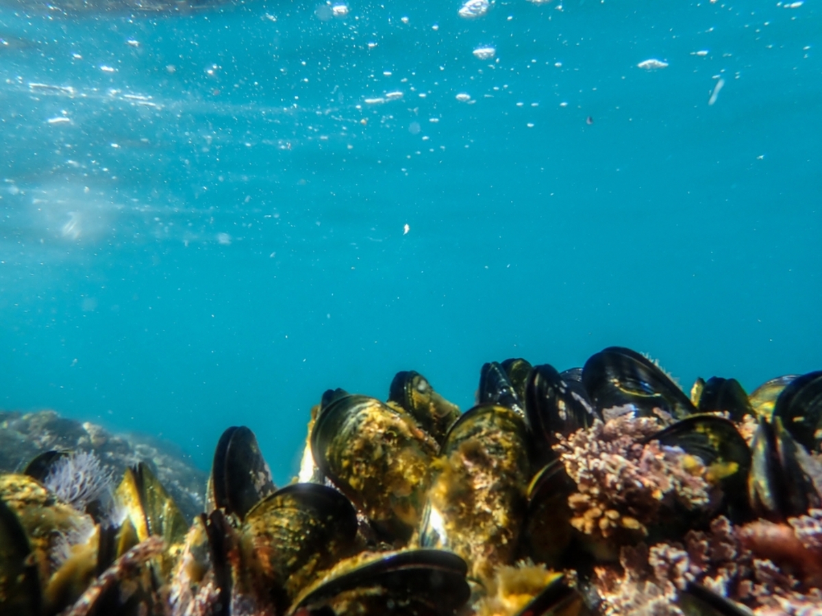 Фото из статьи