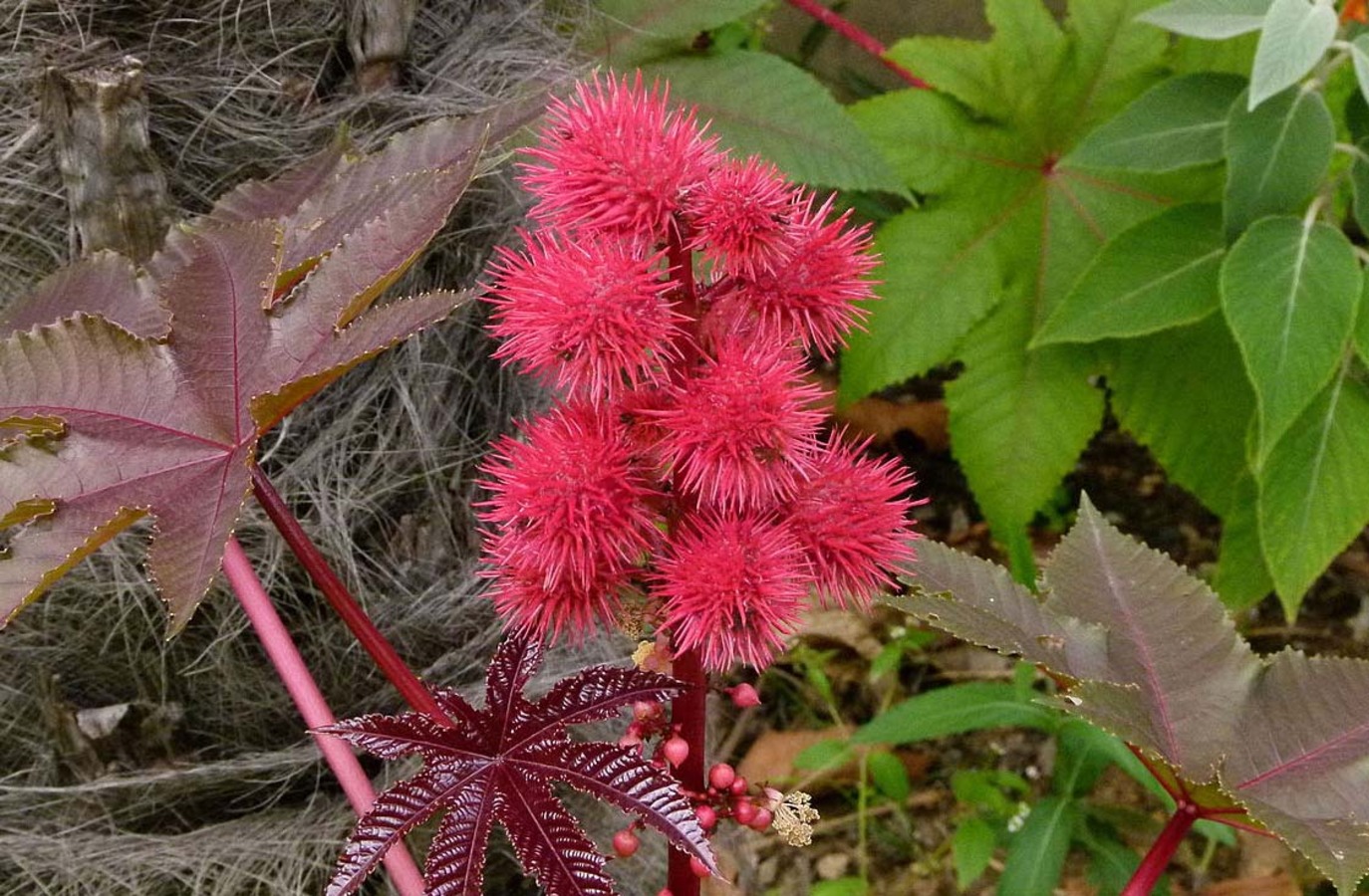 Фото из статьи