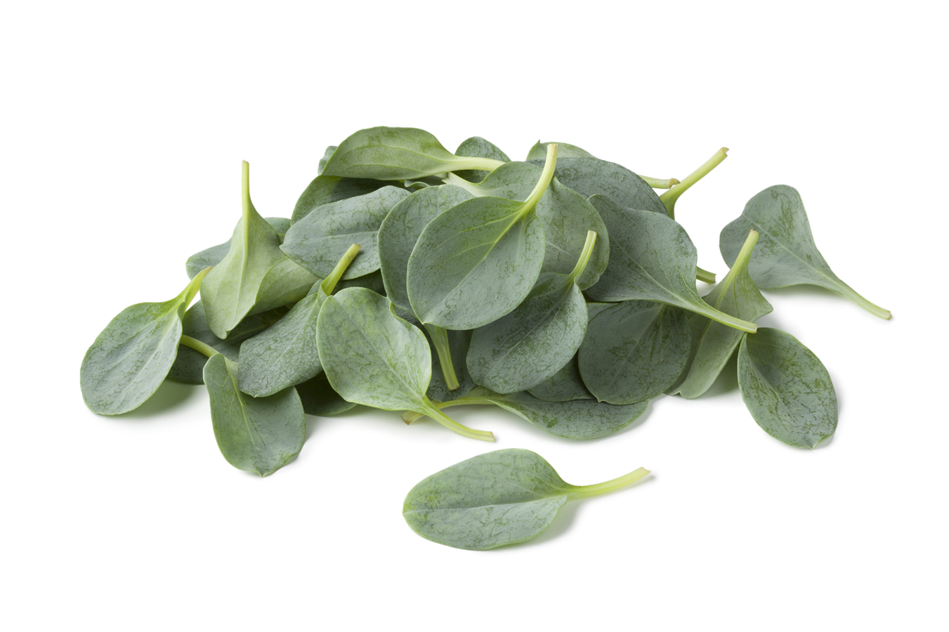 Фото из статьи