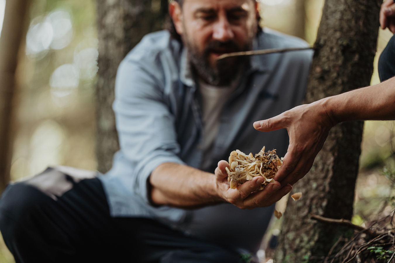 Фото из статьи