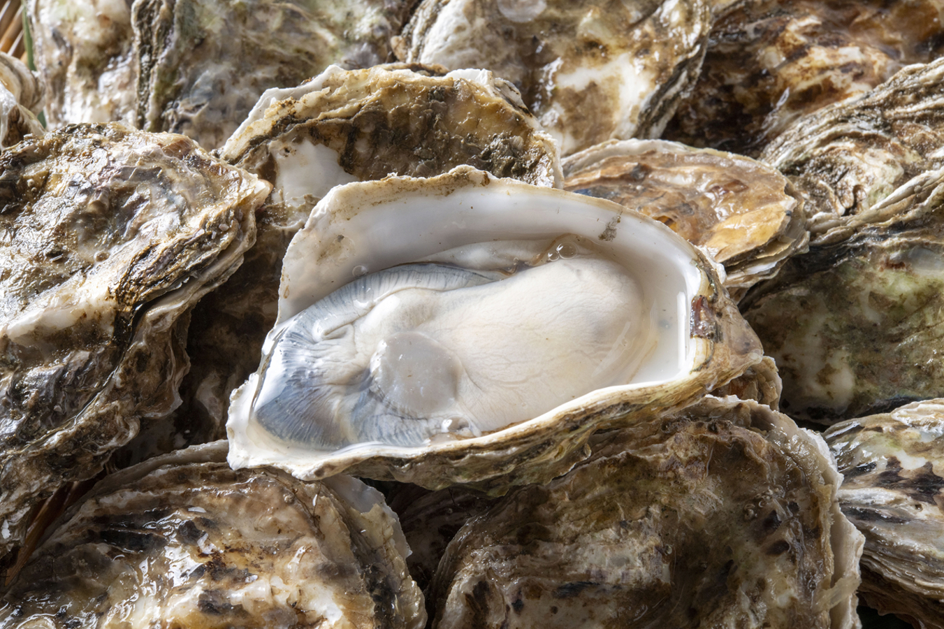 Фото из статьи