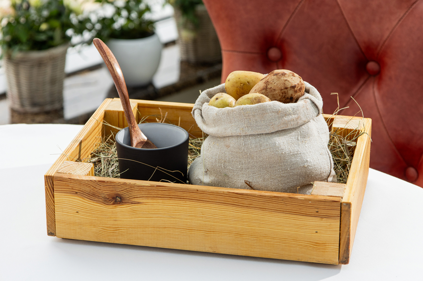 Фото из статьи