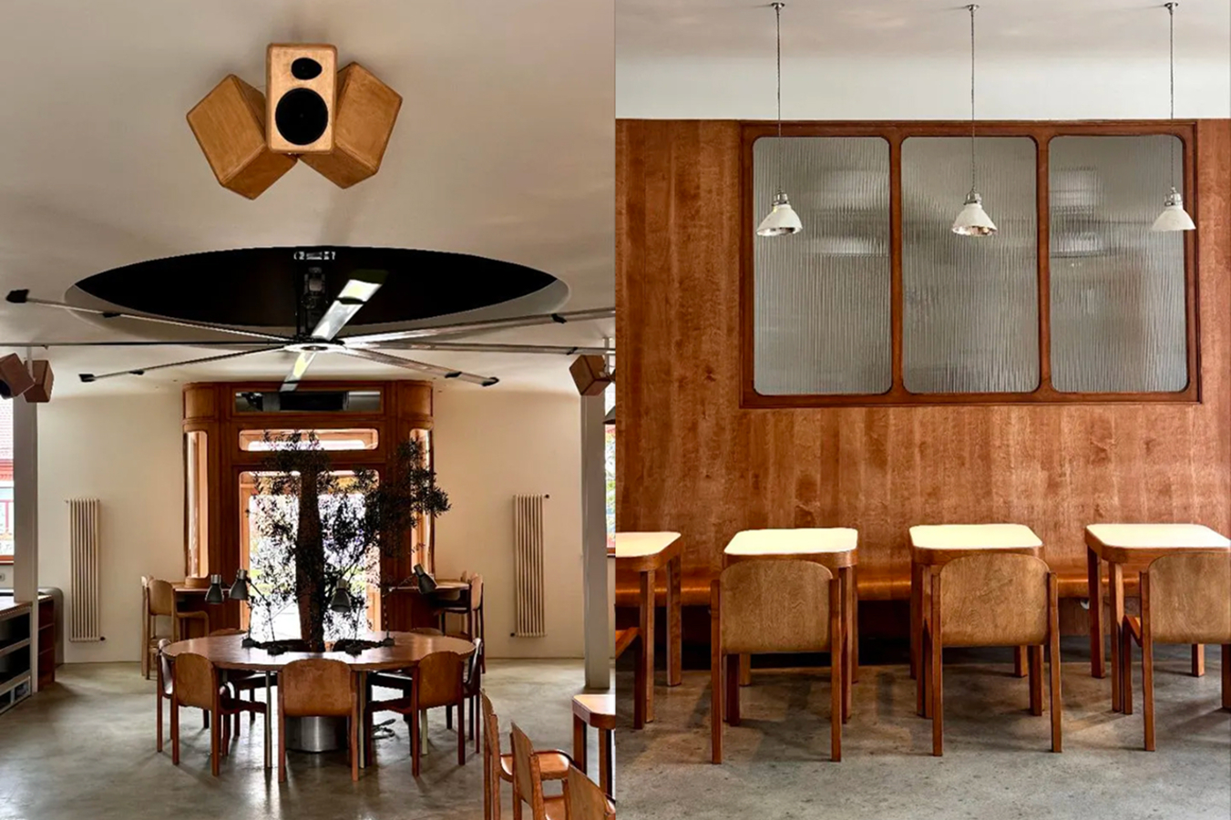 Фото из статьи