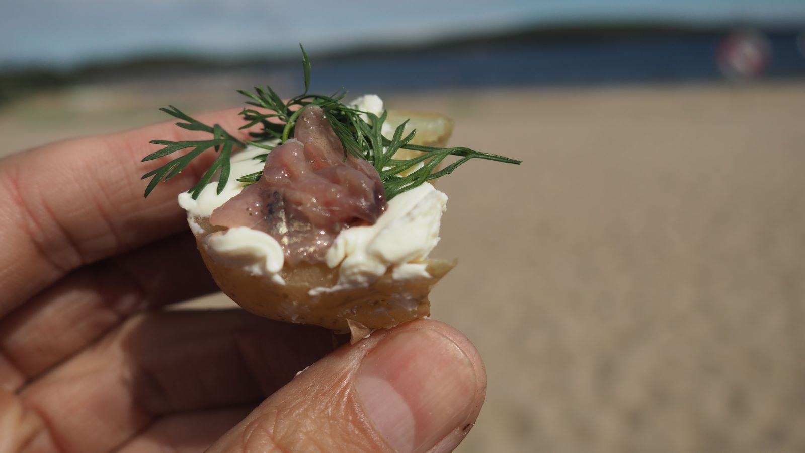 Фото из статьи