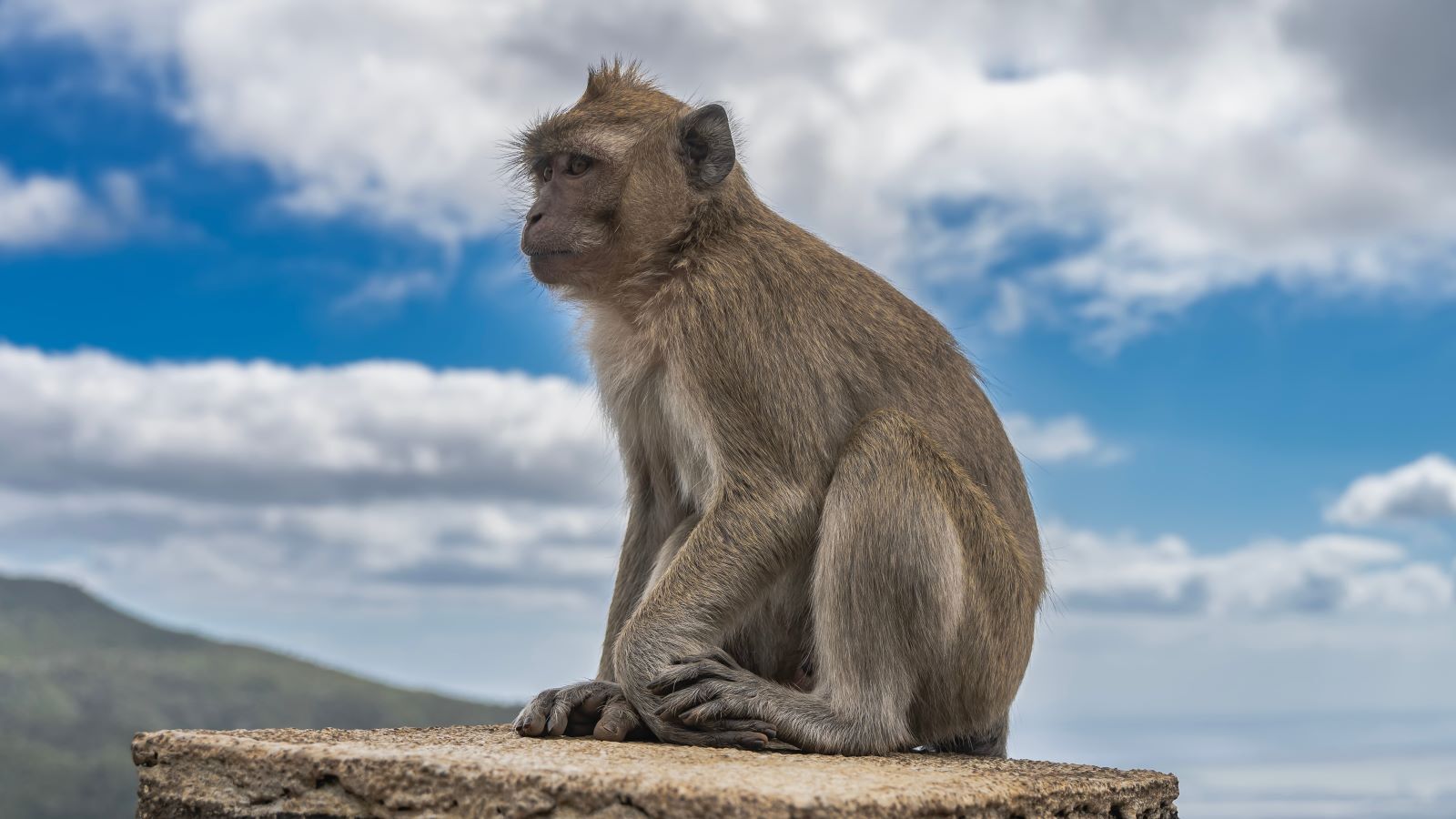 Фото из статьи