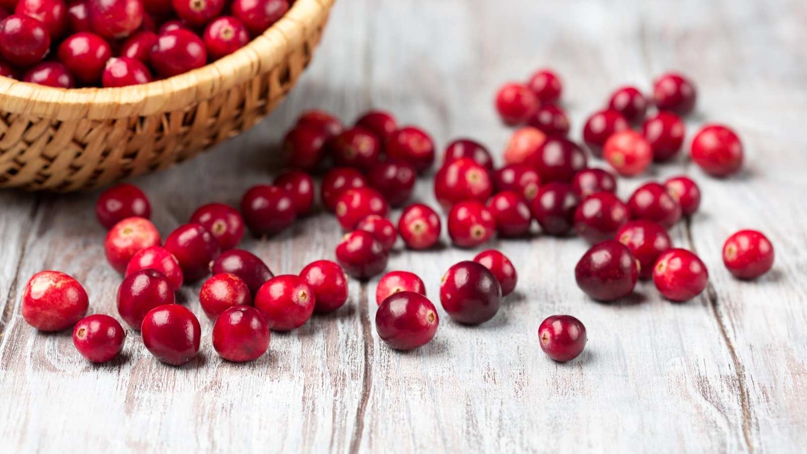 Фото из статьи