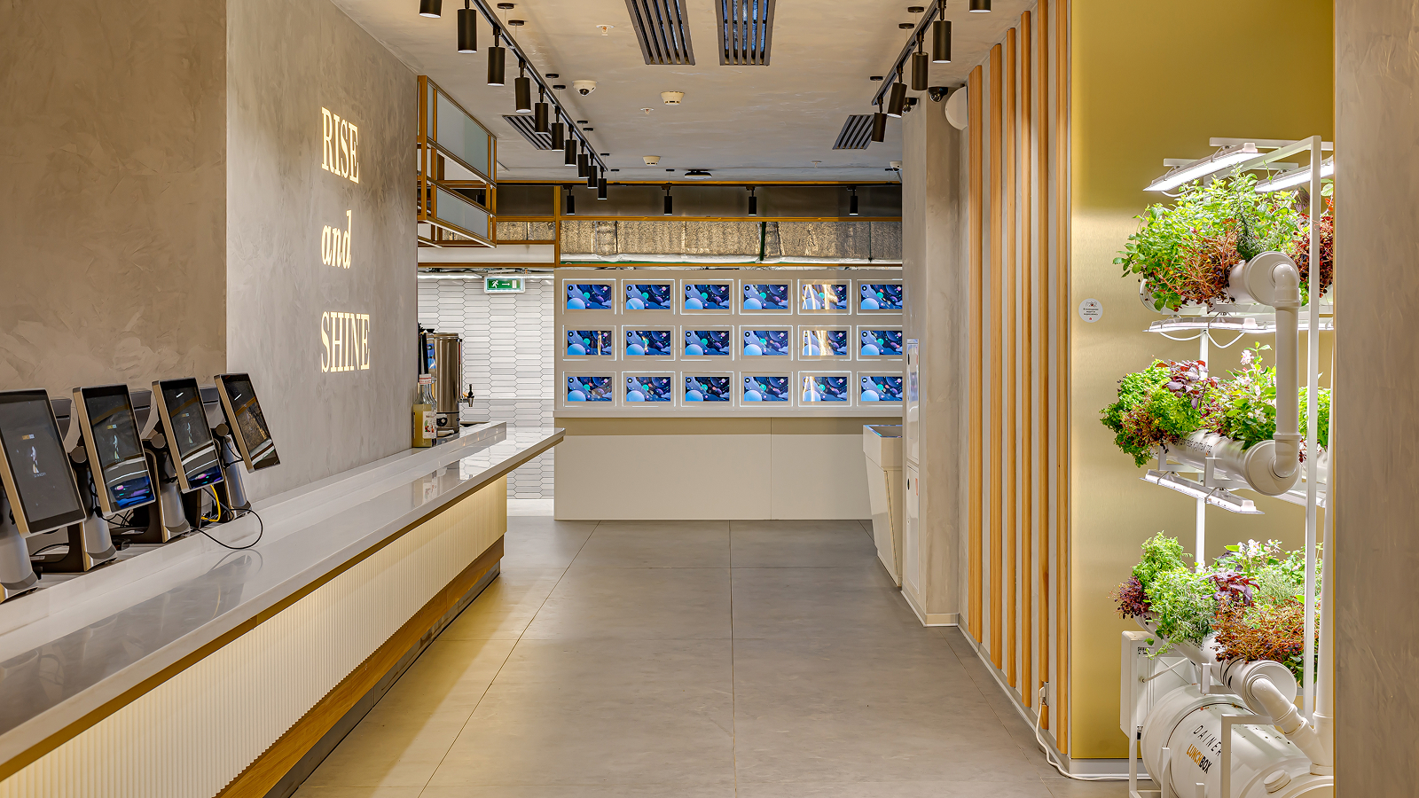 Фото из статьи