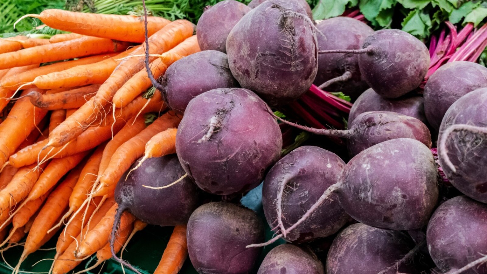 Фото из статьи