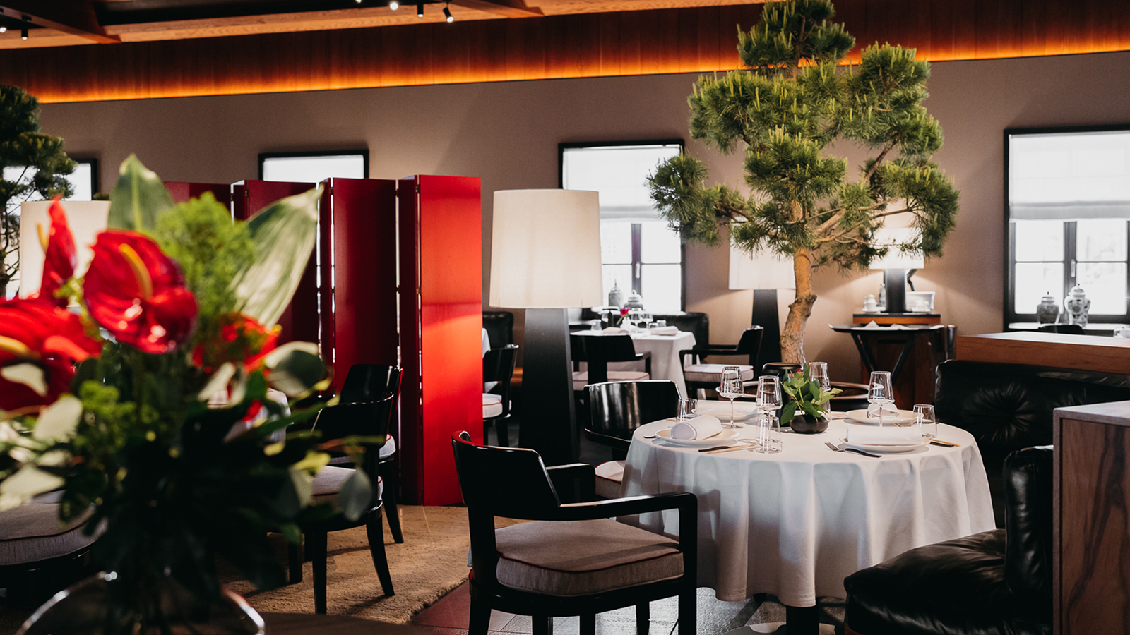 Фото из статьи