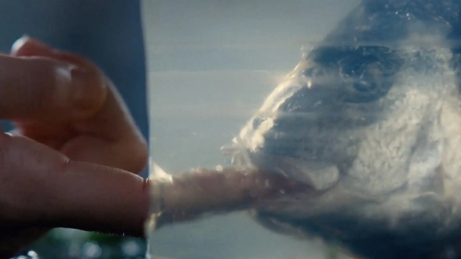 Фото из статьи